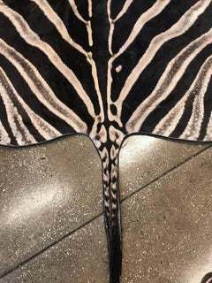 Grade "A" Equus Burchell Zebra Skin Rug