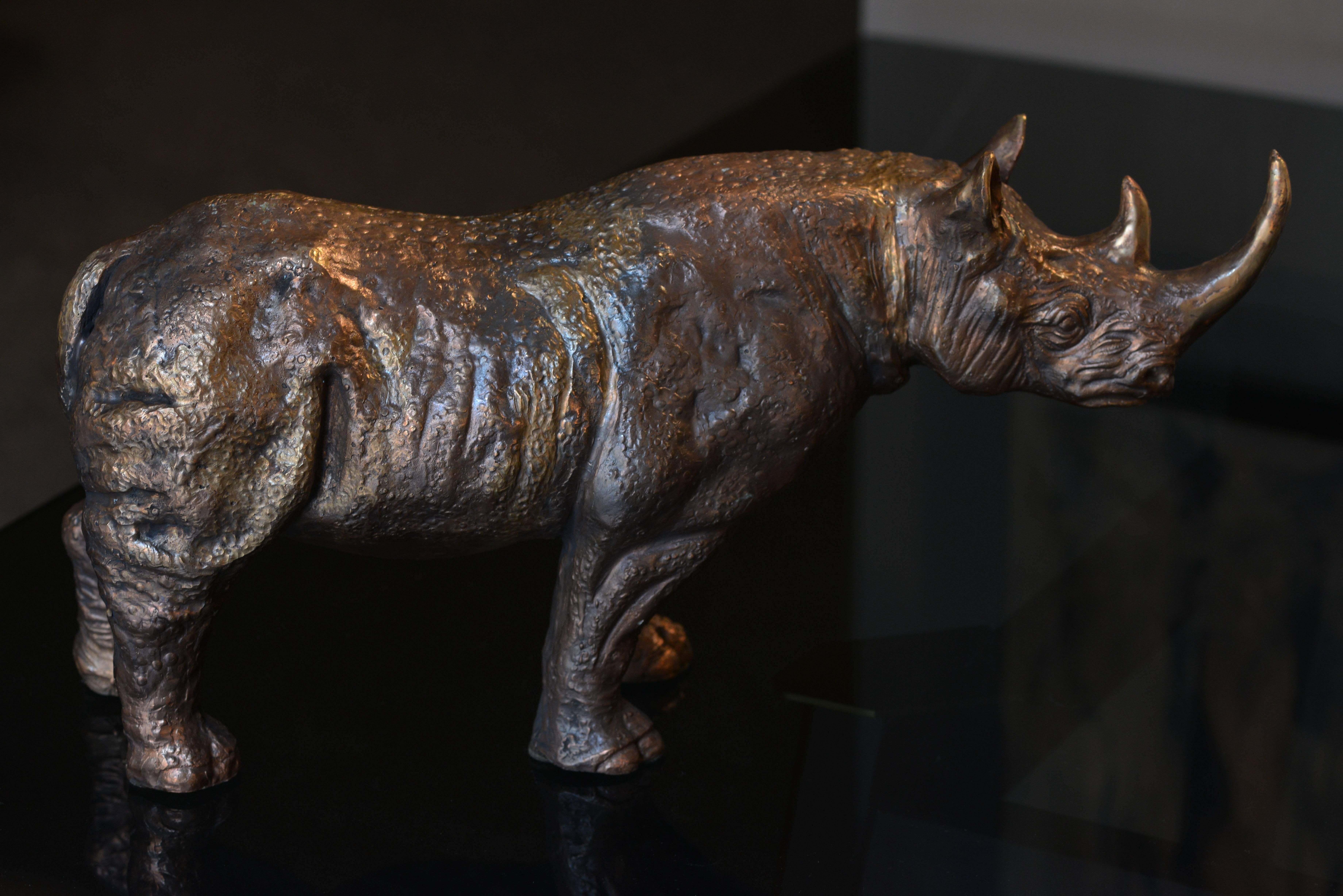 Modern Pair of Bronze Rhinoceroses
