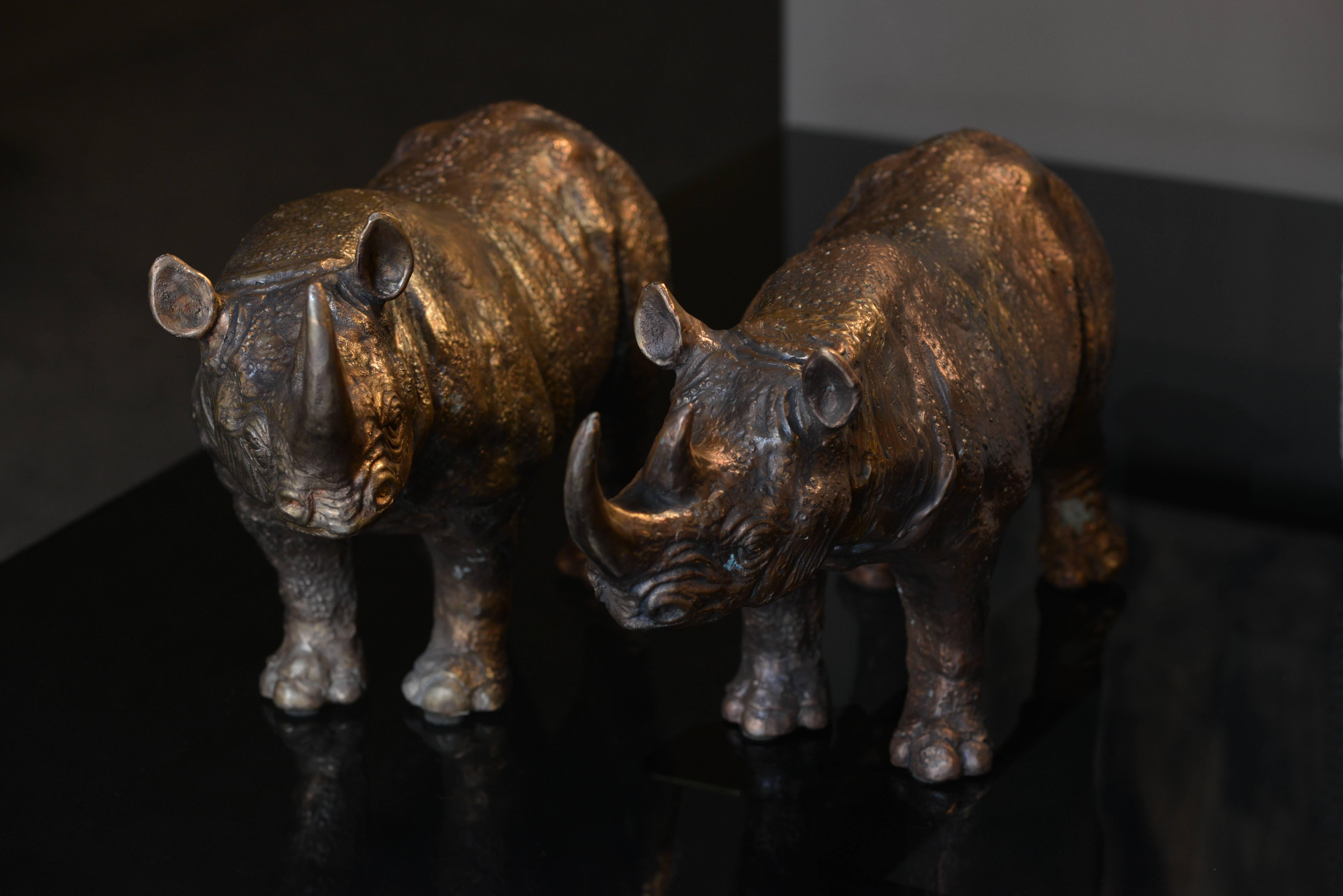 Pair of Bronze Rhinoceroses In Excellent Condition In Roma, IT