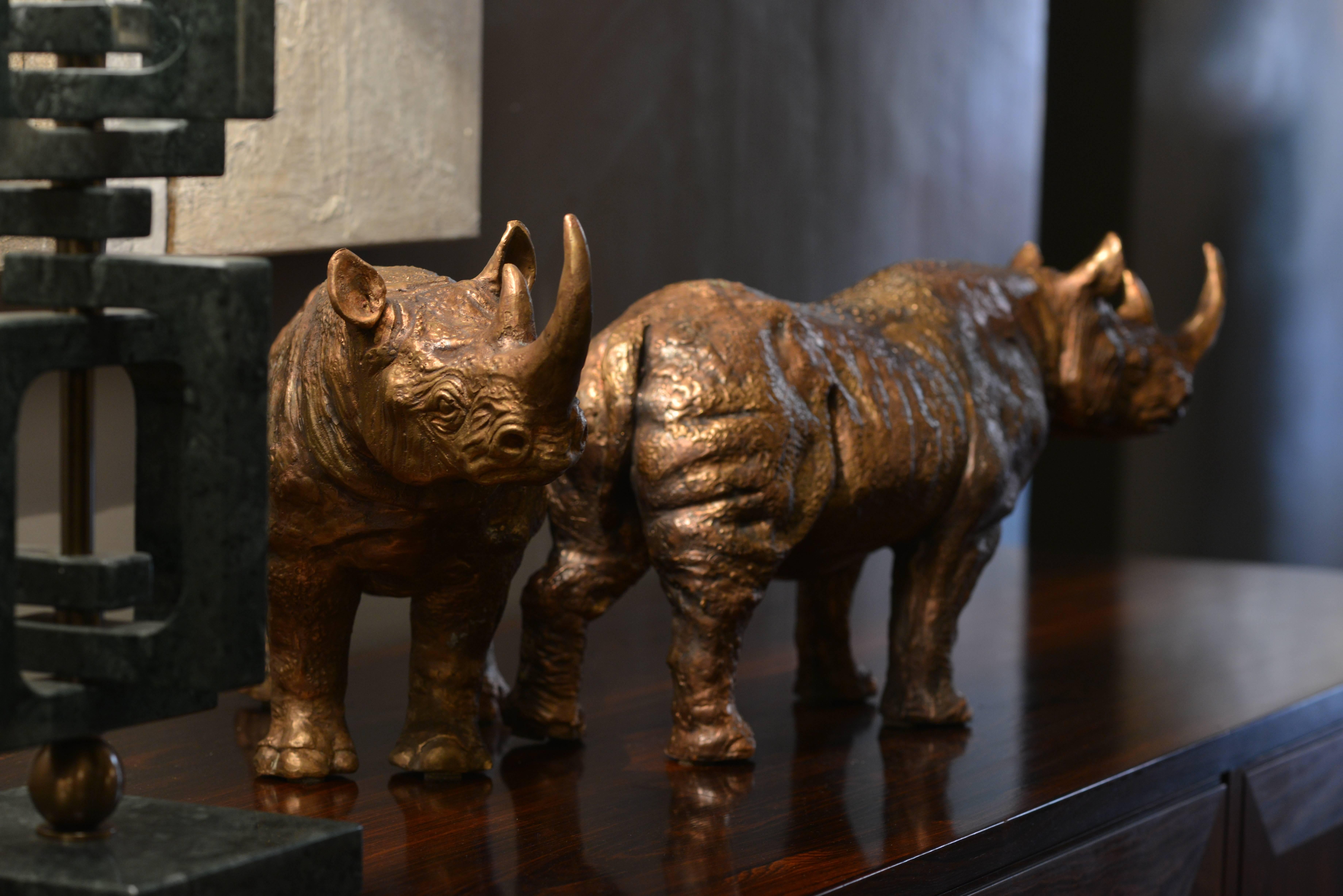 Pair of Bronze Rhinoceroses 1