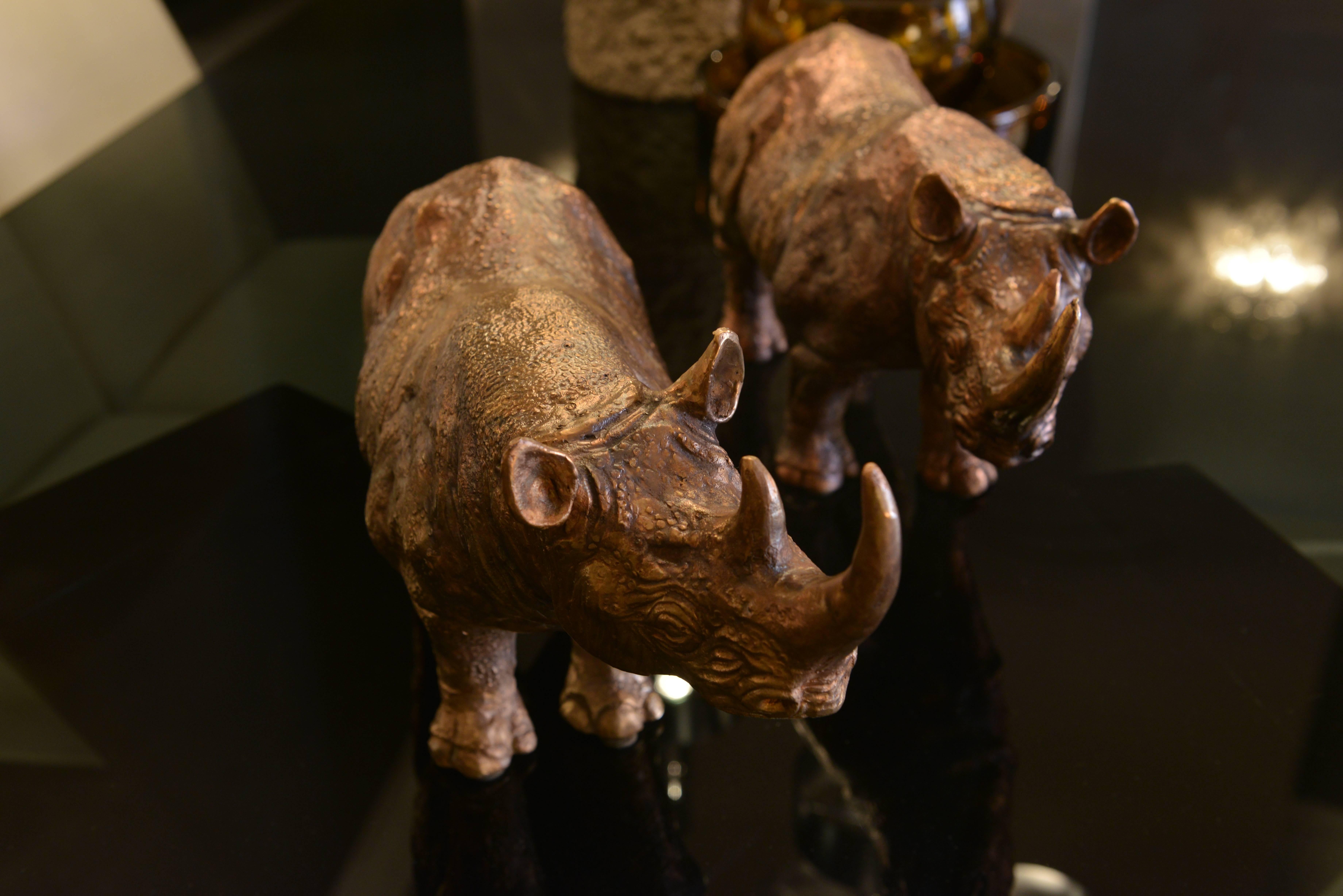 Pair of Bronze Rhinoceroses 2