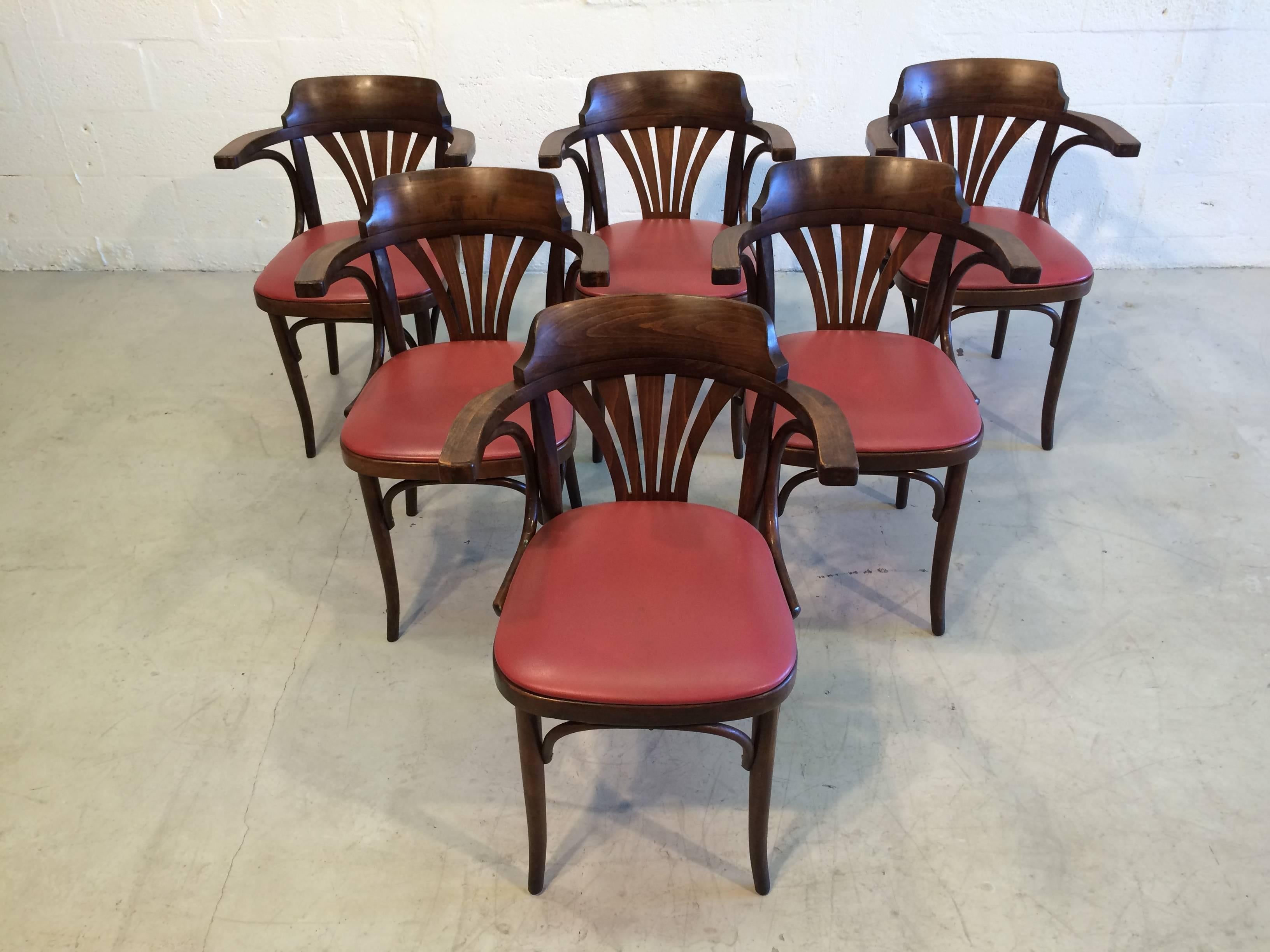 Six Bentwood Chairs by Drevounia, Czech Republic, 1950s, 12 Chairs Available In Good Condition In Miami, FL