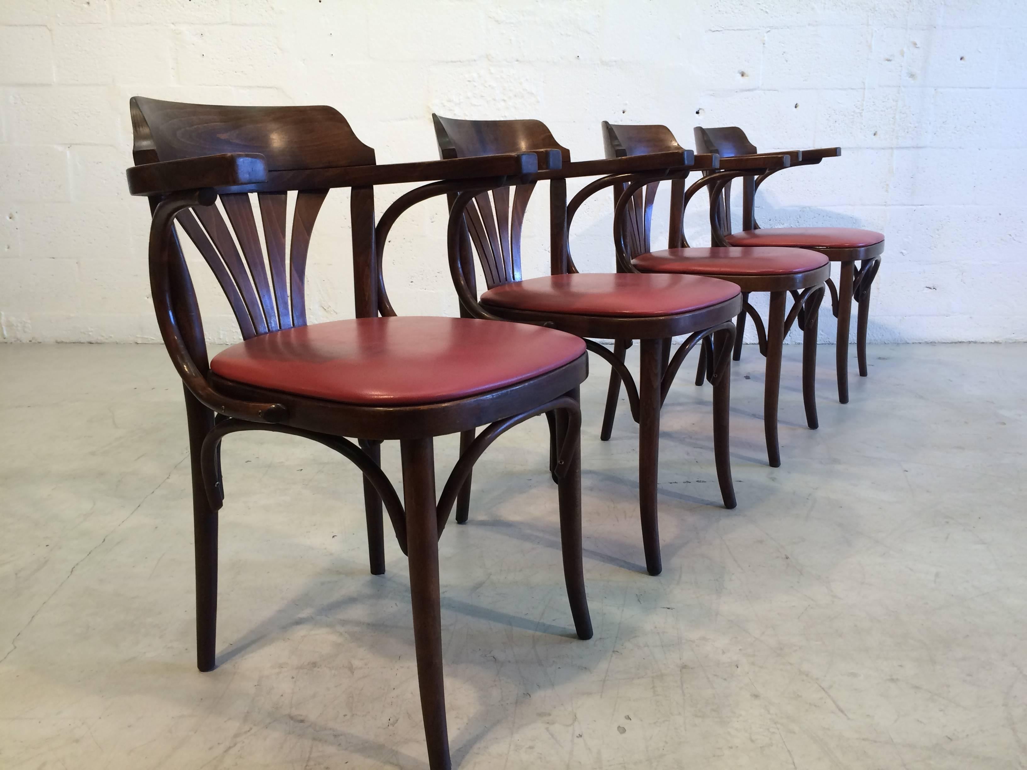 Mid-20th Century Six Bentwood Chairs by Drevounia, Czech Republic, 1950s, 12 Chairs Available
