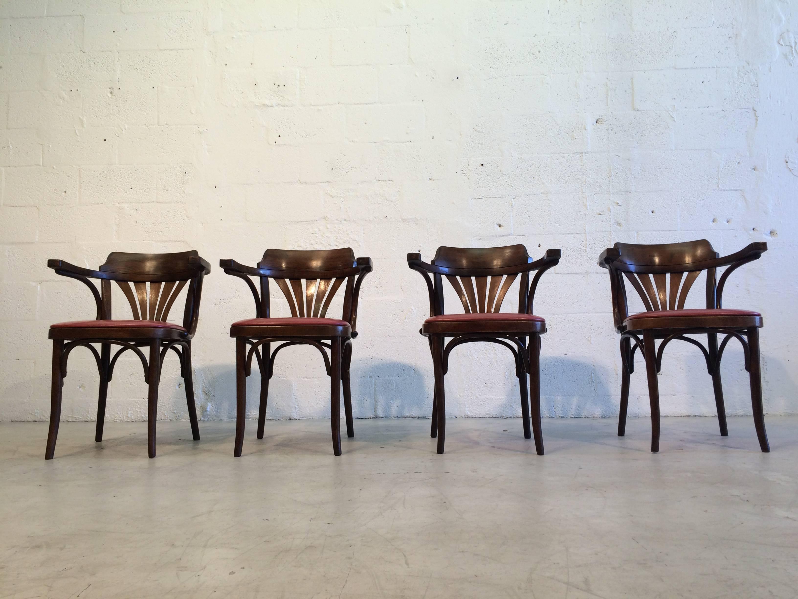 Six Bentwood Chairs by Drevounia, Czech Republic, 1950s, 12 Chairs Available 1