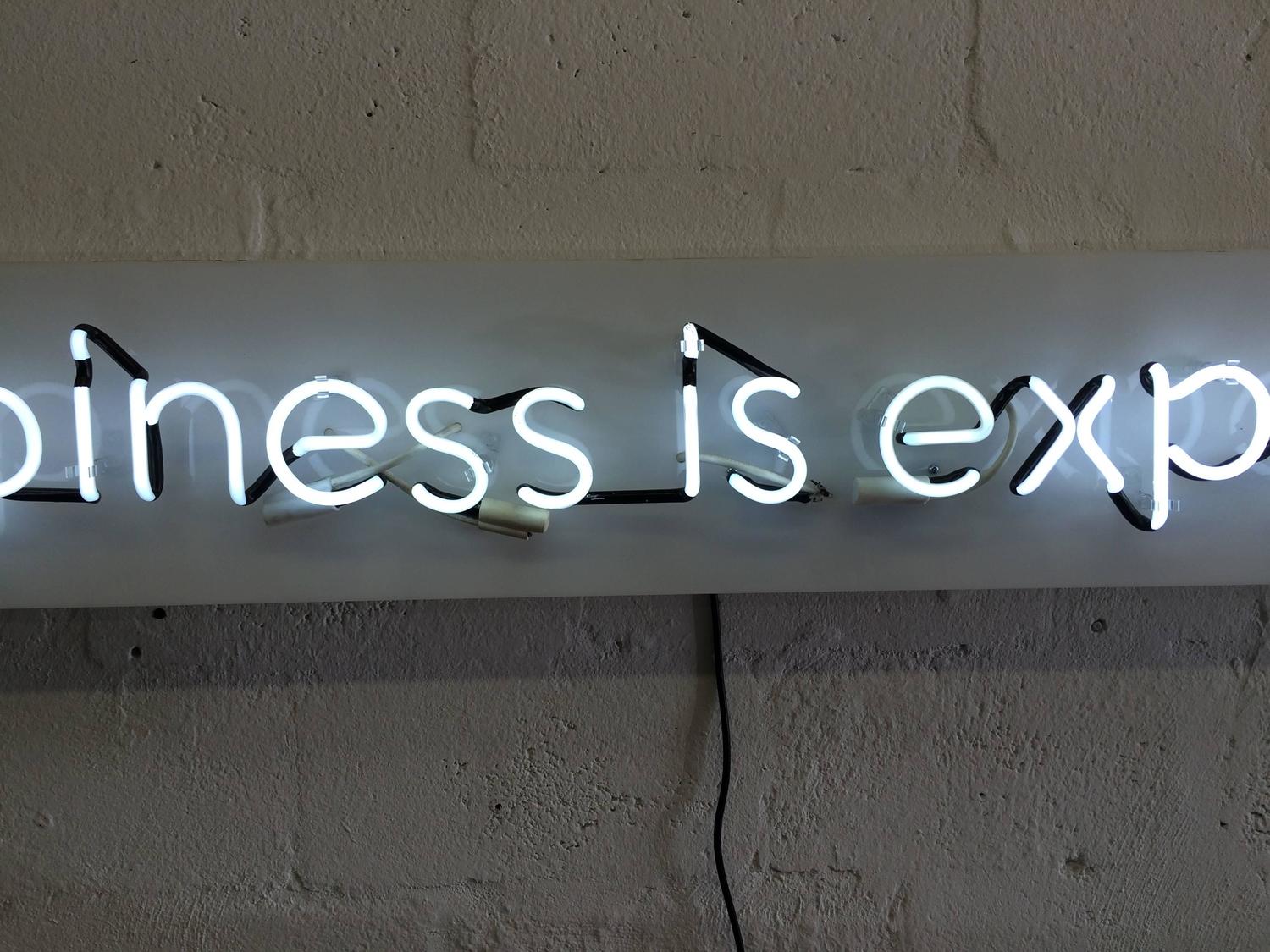 Happiness is Expensive Neon Sign in the Style of Alejandro Diaz For
