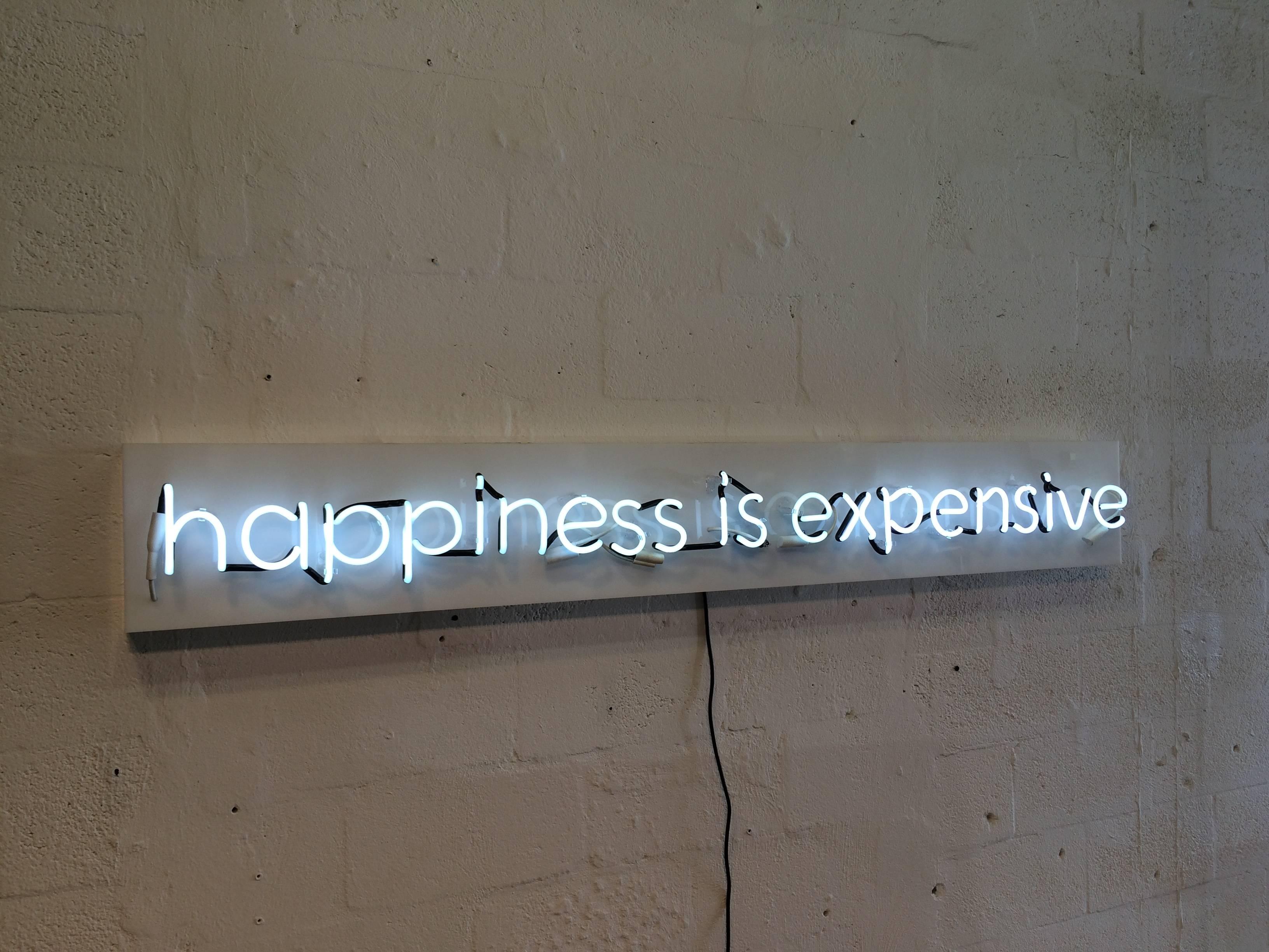 Happiness is Expensive Neon Sign in the Style of Alejandro Diaz at