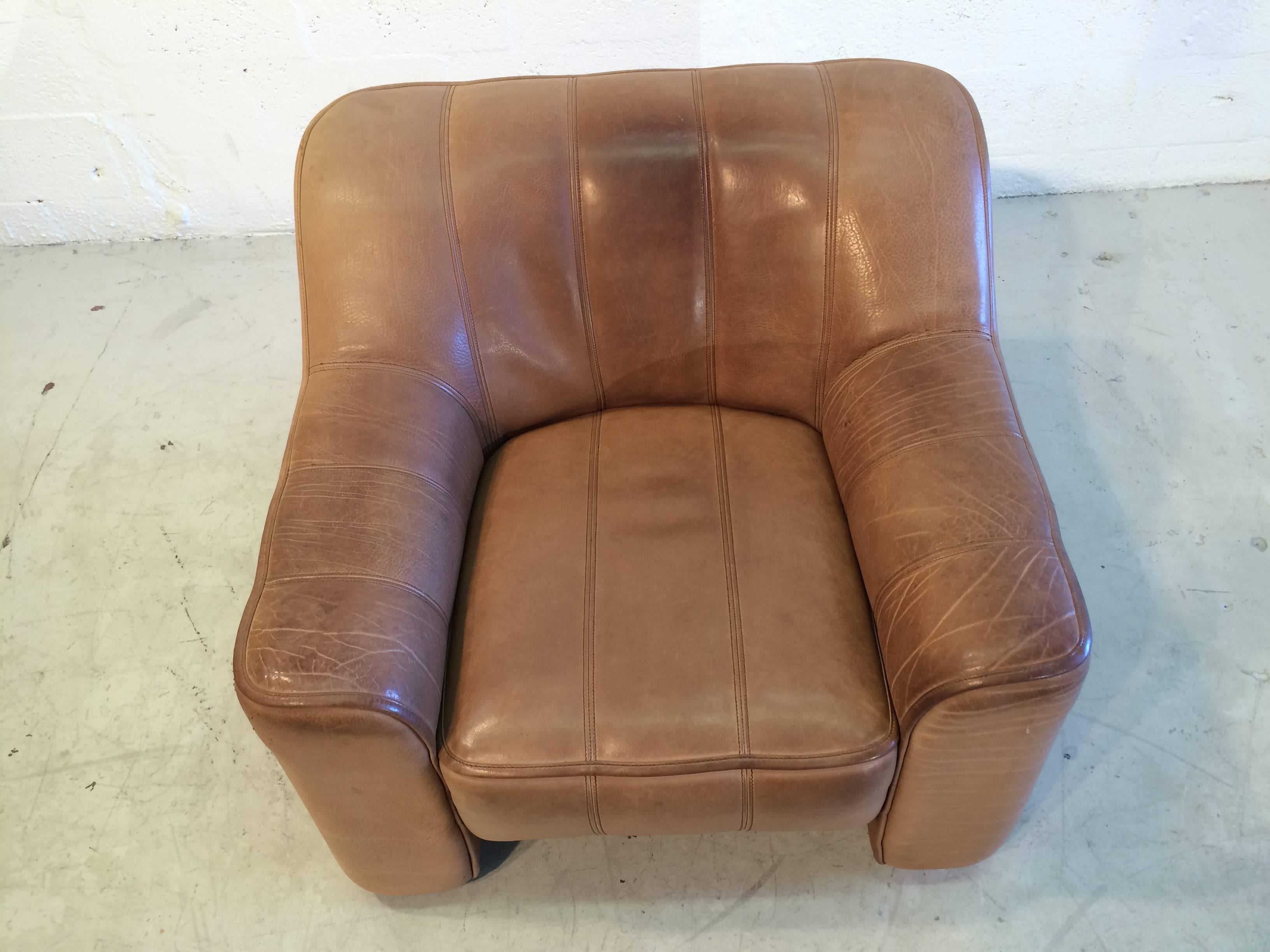 Late 20th Century De Sede Easy Chair with Ottoman DS-44, Buffalo Leather