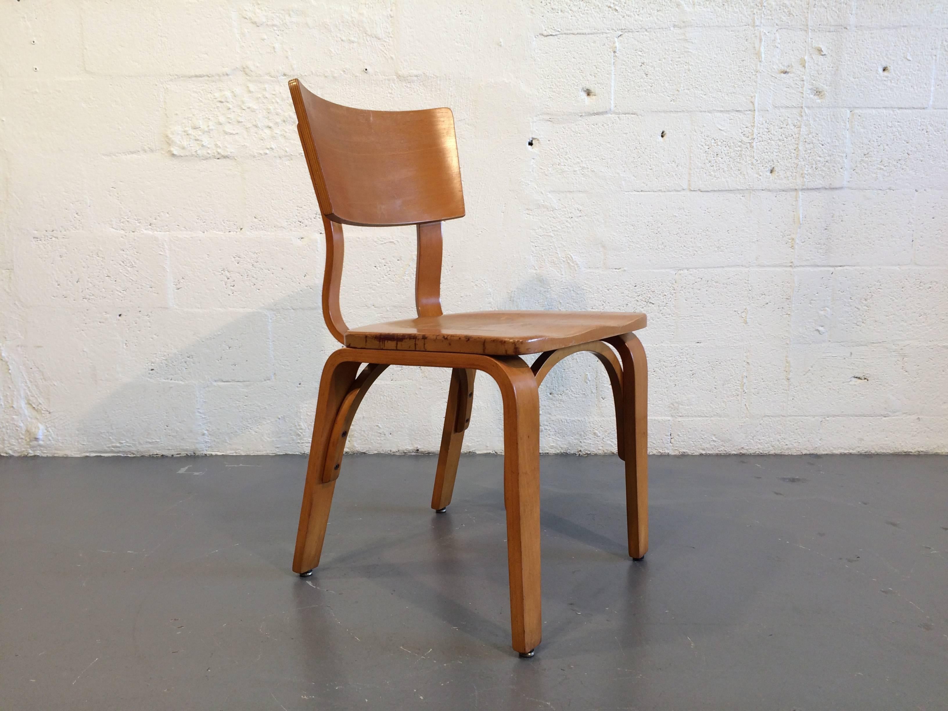 Mid-Century Modern Eight Beautiful Bentwood Chairs by Thonet, USA, 1950s
