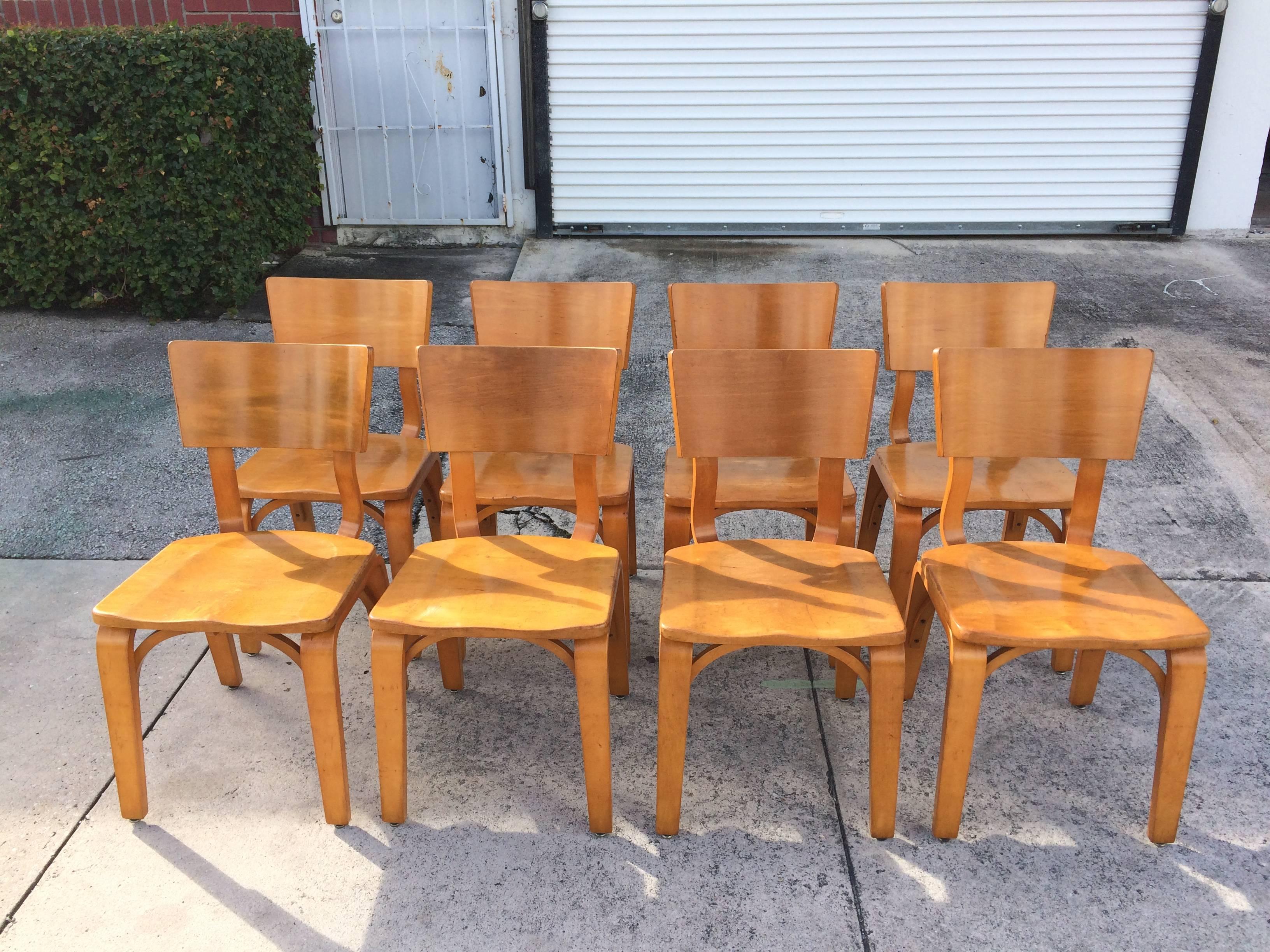 American Eight Beautiful Bentwood Chairs by Thonet, USA, 1950s