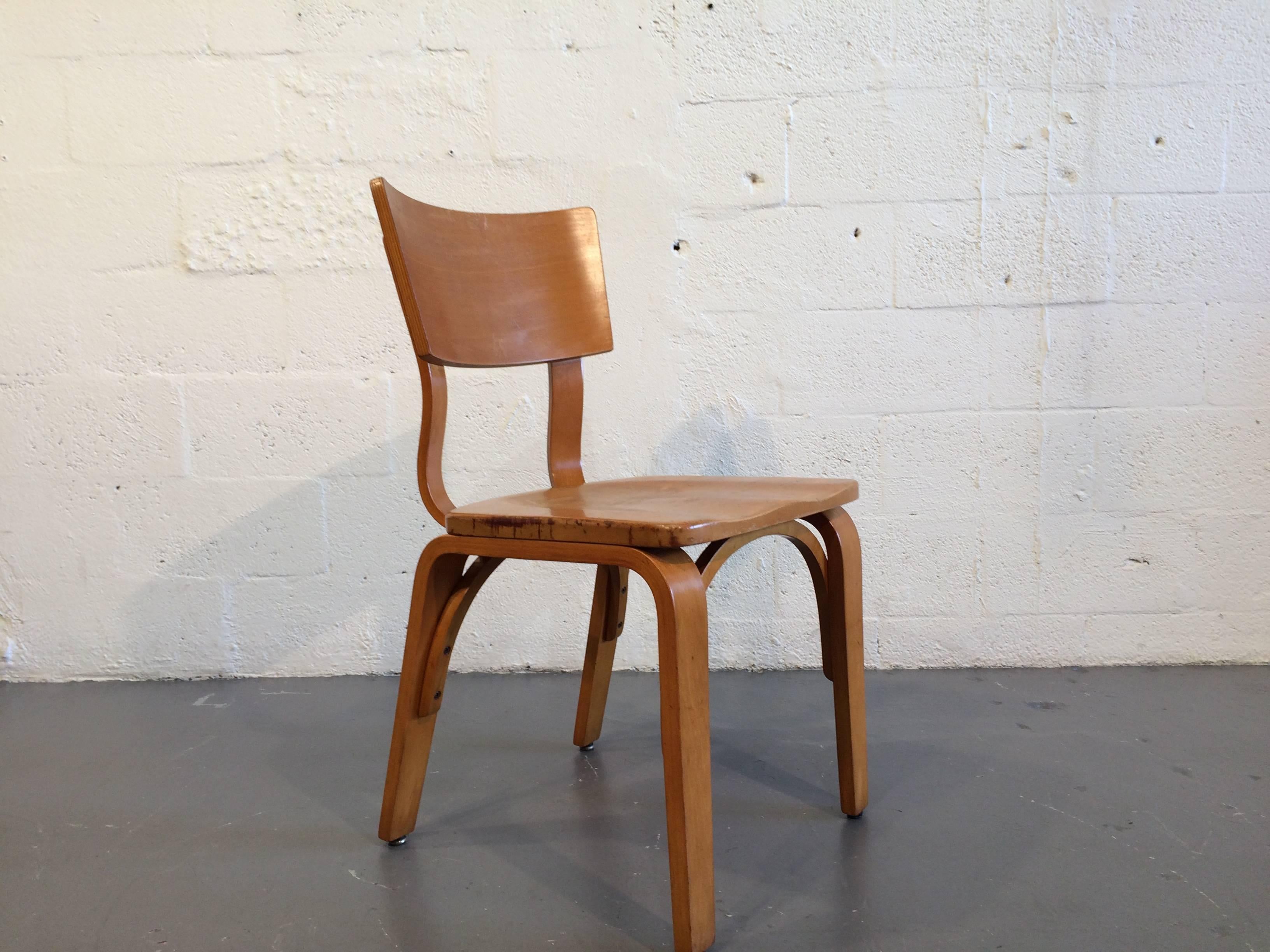 Eight Beautiful Bentwood Chairs by Thonet, USA, 1950s 4