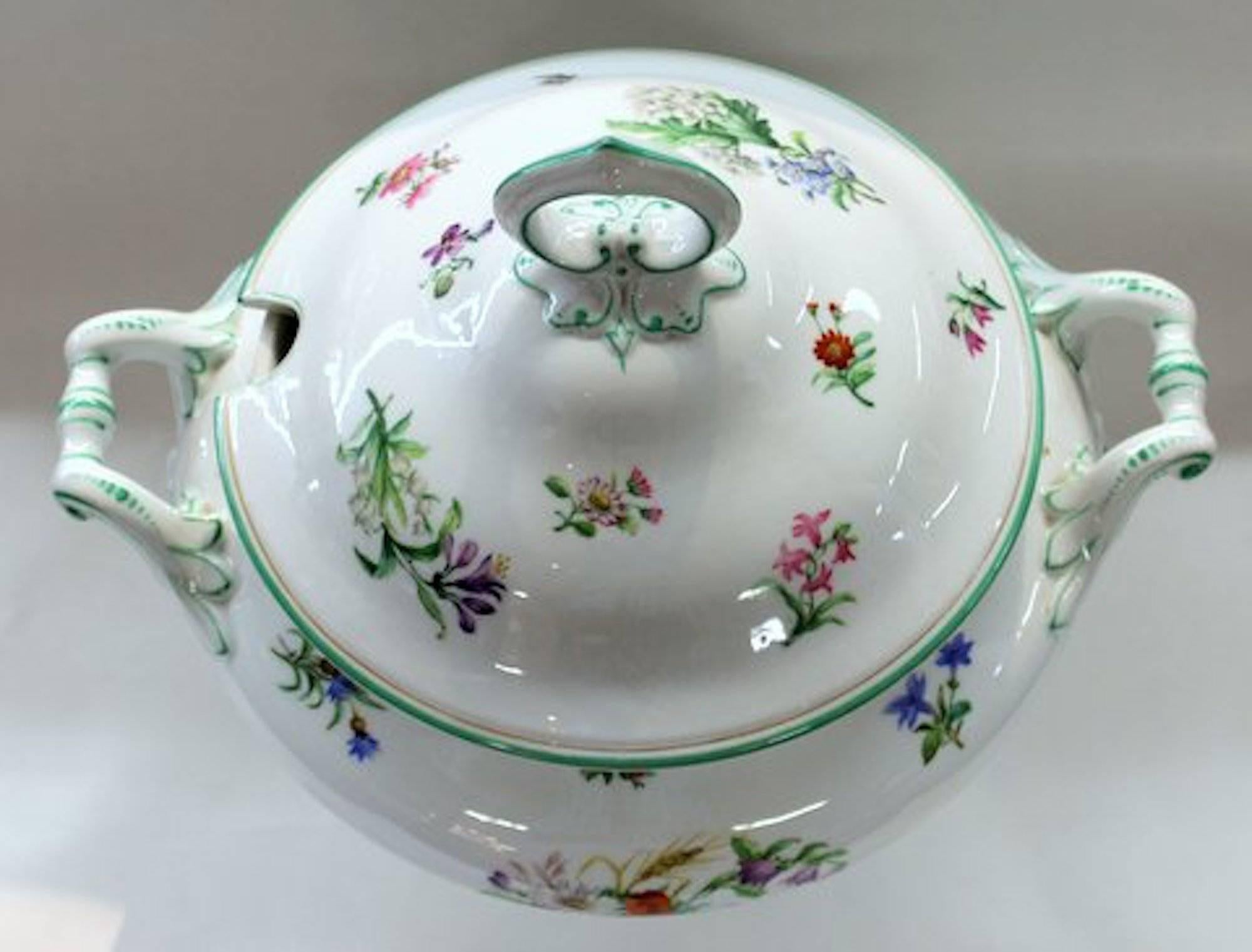 Fine antique Continental hand-painted porcelain botanical motif soup tureen.

With interesting and beautifully hand-painted botanical and insect motifs throughout.  Impressed 