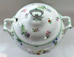 Continental Hand-Painted Porcelain Soup Tureen with Botanicals and Insects
