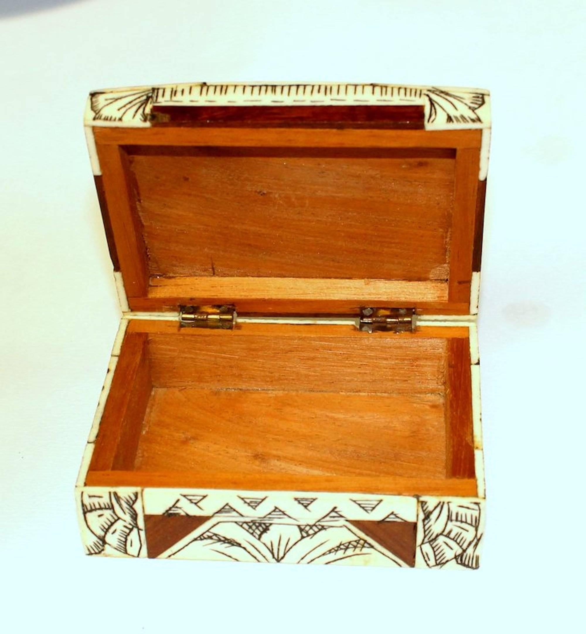 Old Anglo-Indian Carved Bone, Rosewood and Mahogany Hinged Box 4