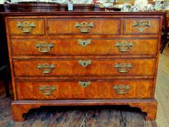 English Geo III Oyster Veneer Low Chest of Drawers, Queen Anne Revival