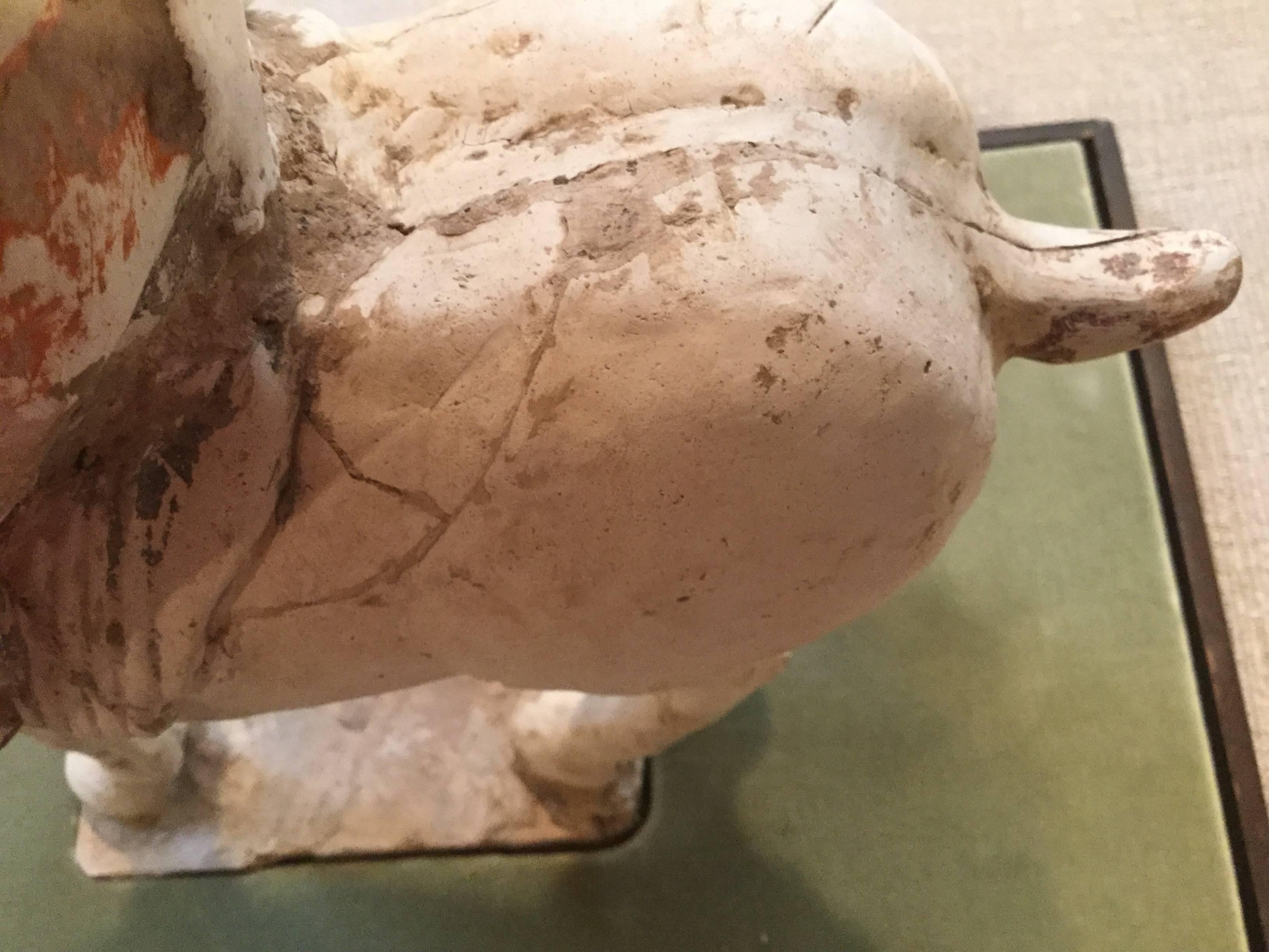 1, 000-1, 600 Year-Old 'Sui Dynasty' Burial Horse Sculpture For Sale 2