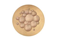 Porcelain Plate by Tapio Wirkkala for Rosenthal, Numbered