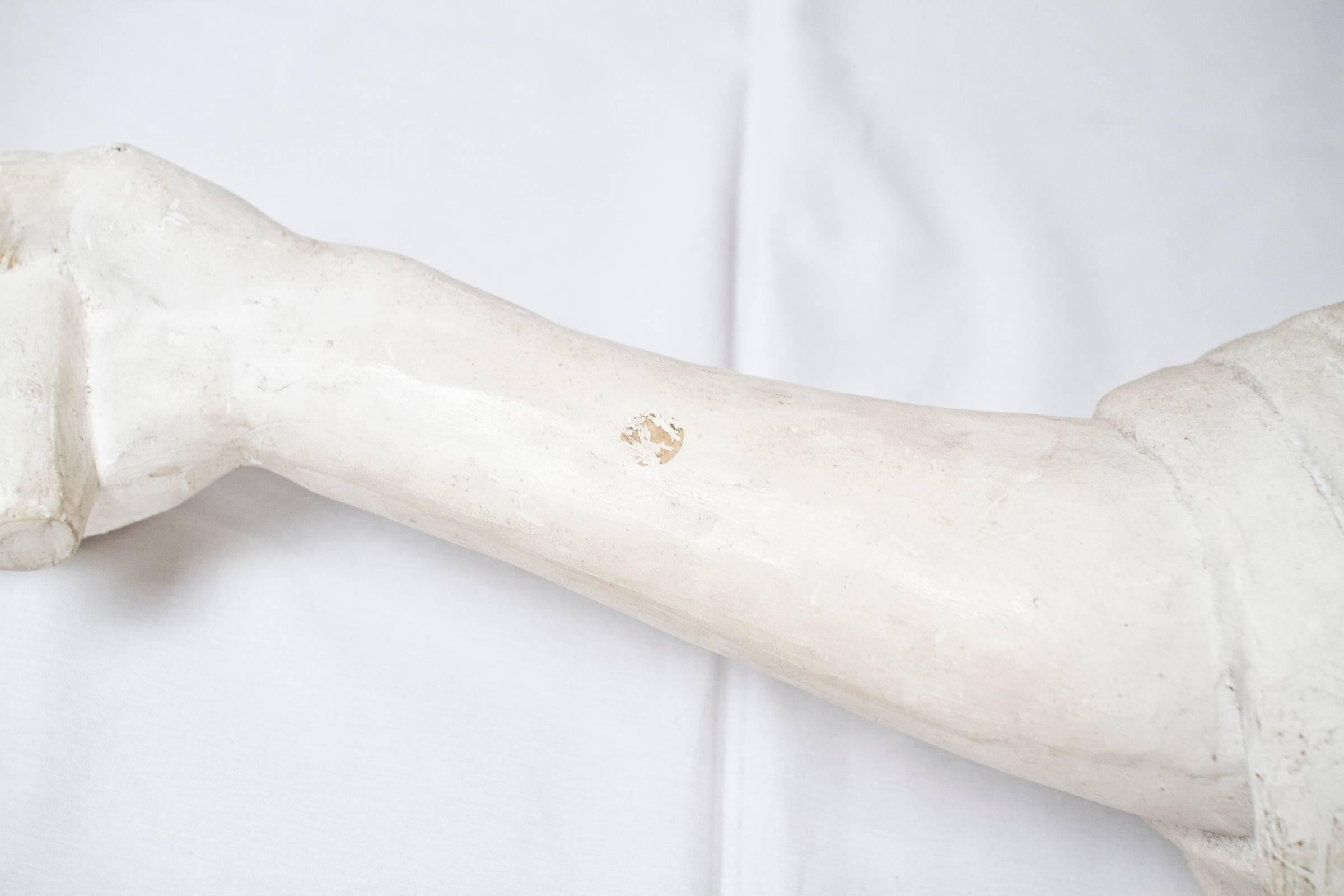 Neoclassical Draped Arm with Closed Hand in Plaster For Sale