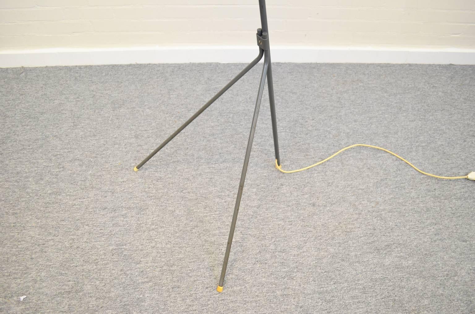 Mid-20th Century Midcentury Floorlamp NX38 by Louis Kalff for Philips, Netherlands