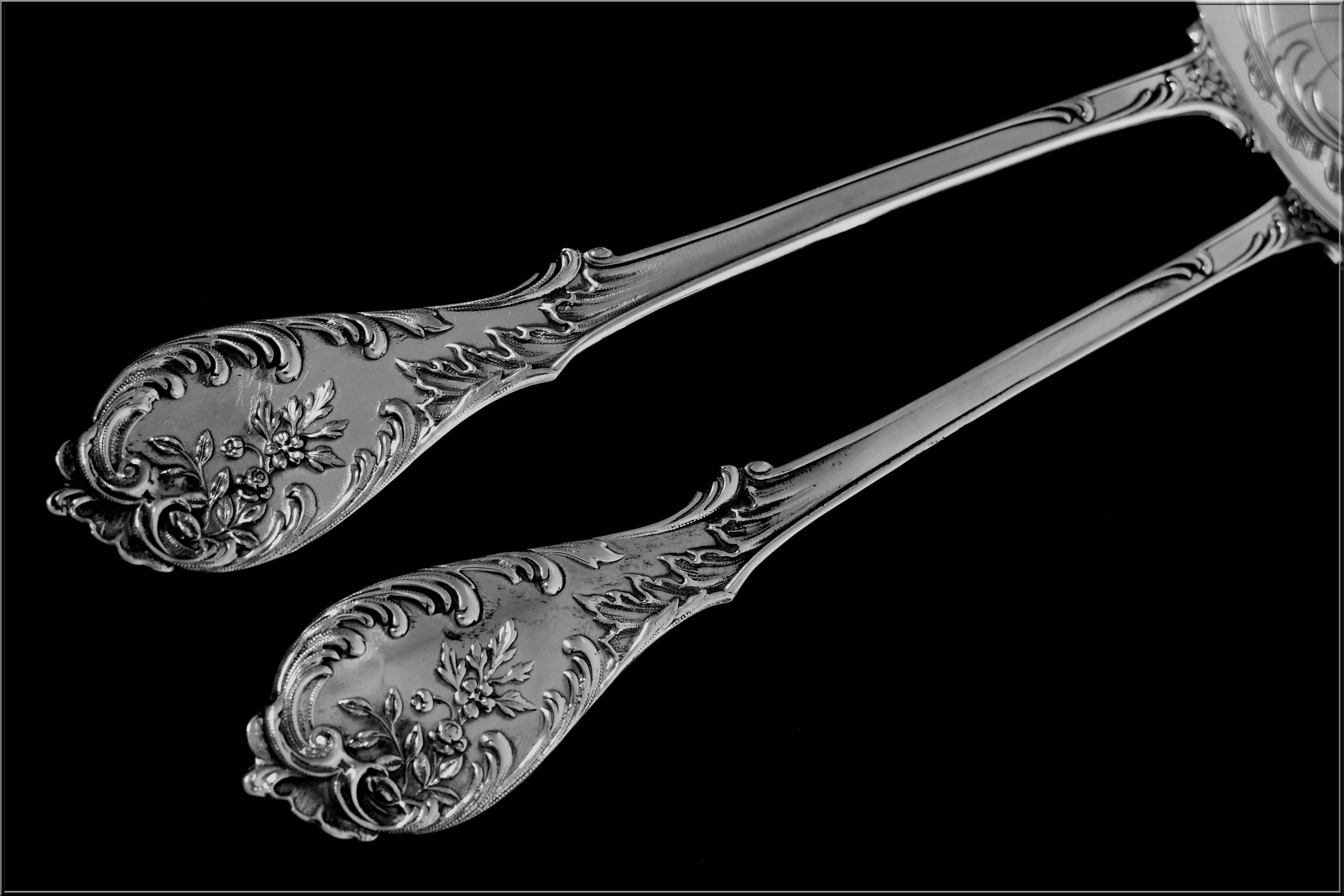 Prost Fabulous French Sterling Silver Ice Cream Set Two-Pieces Art Nouveau For Sale 3