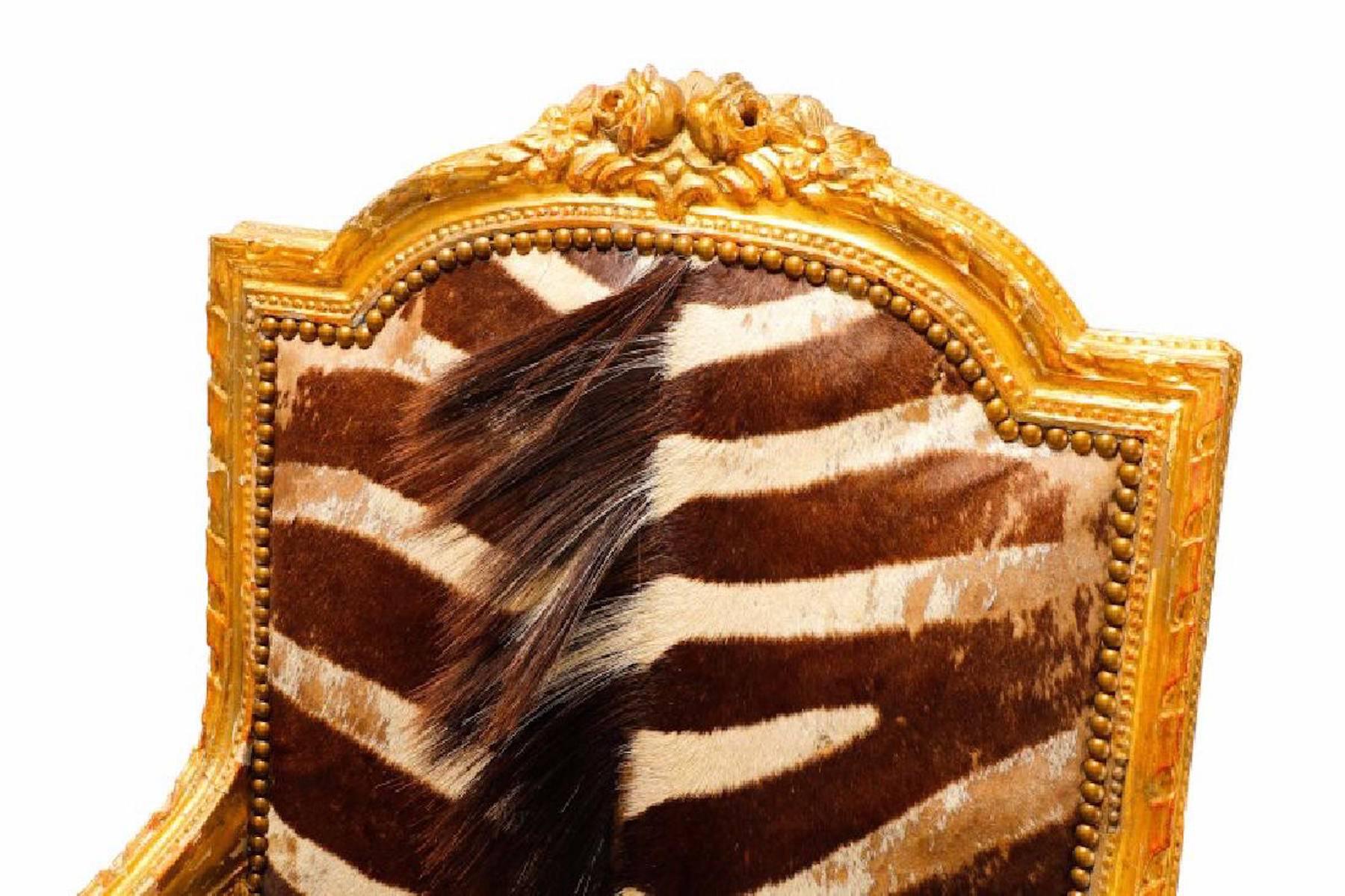 Carved French Giltwood Bergère, in Zebra Hide