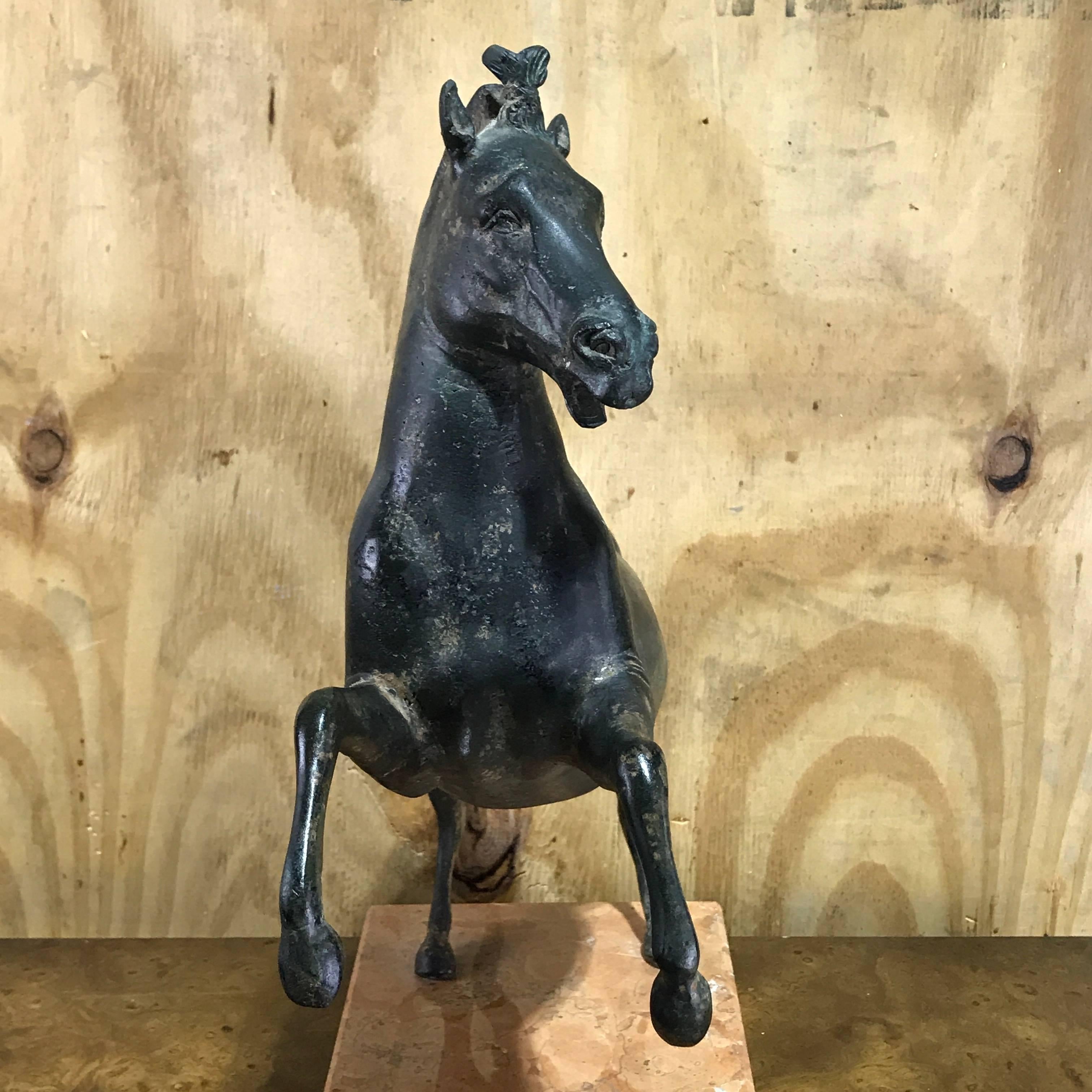 Italian Grand Tour Bronze Sculpture of a Rearing Horse For Sale