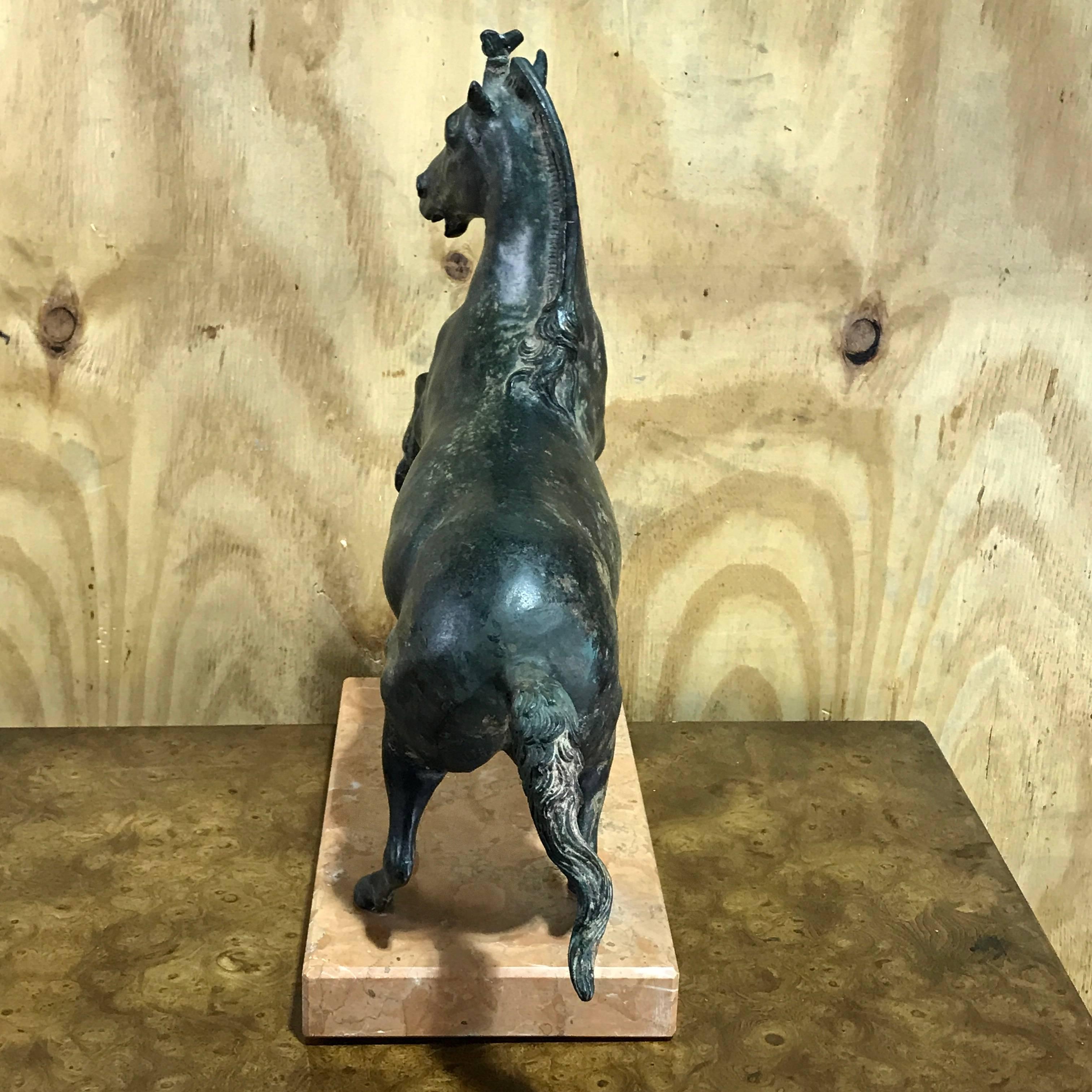 Grand Tour Bronze Sculpture of a Rearing Horse For Sale 1