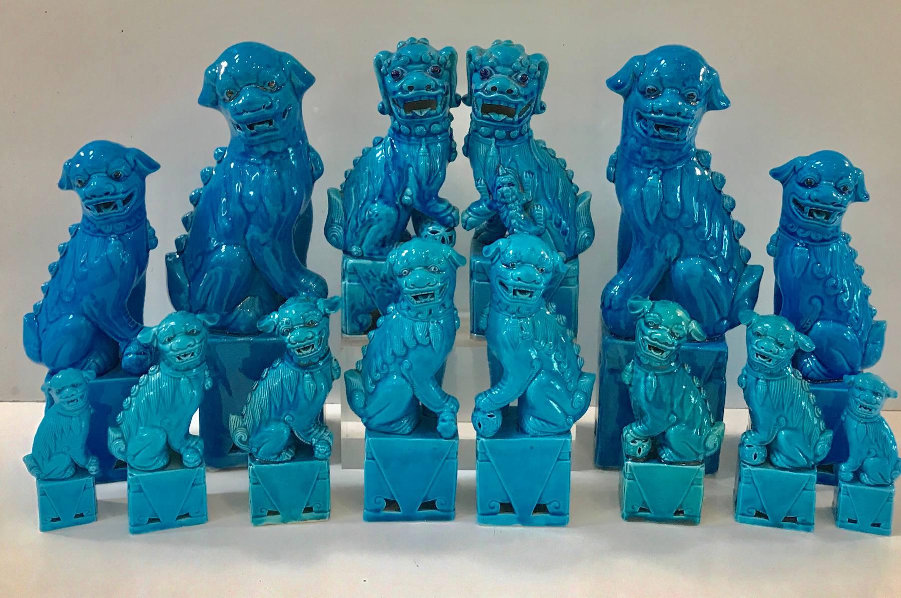Collection of 14 (seven pairs) graduating turquoise Chinese Export foo dogs standing from 12.5 inches to 4.5 inches high.
43.5" or 3.5 feet as shown in the lead image
Pair #1- 12.5" x 3.5"  W x3" D - 5 inches wide at the widest