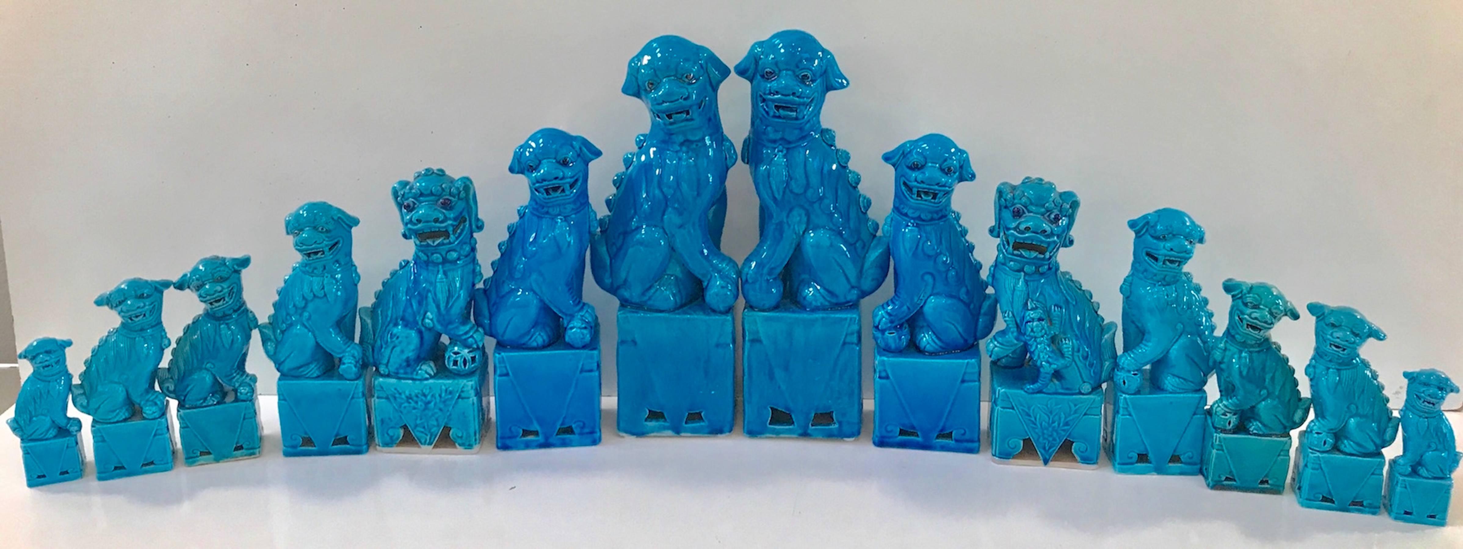Glazed Collection of 14 Graduating Turquoise Chinese Export Foo Dogs