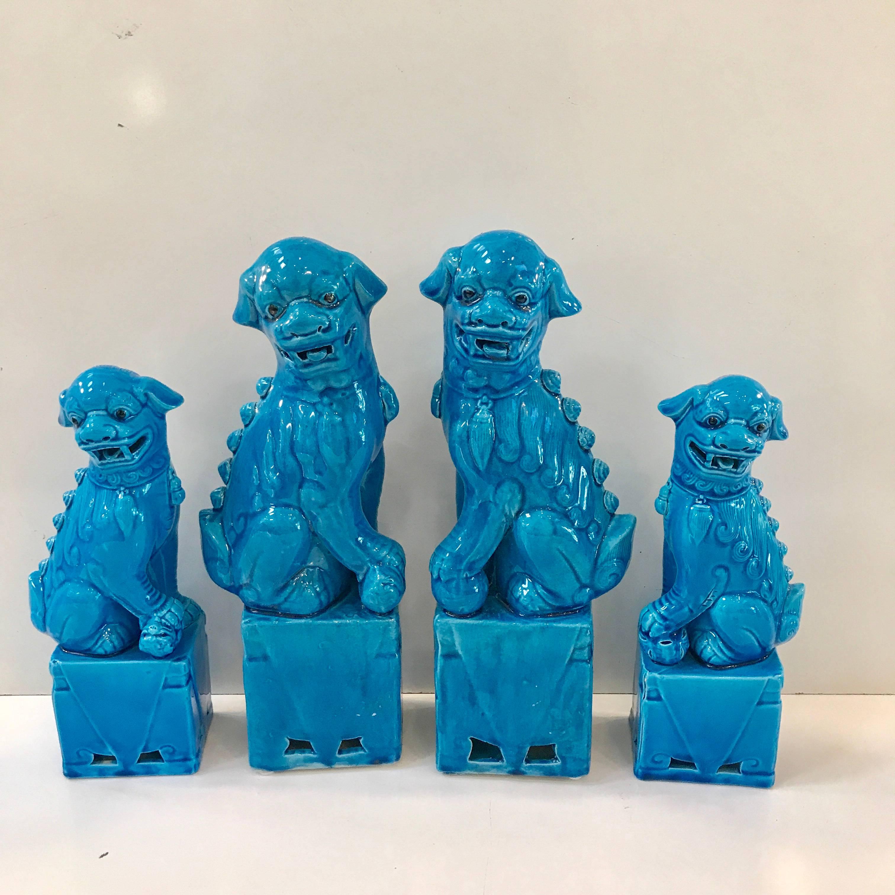 20th Century Collection of 14 Graduating Turquoise Chinese Export Foo Dogs