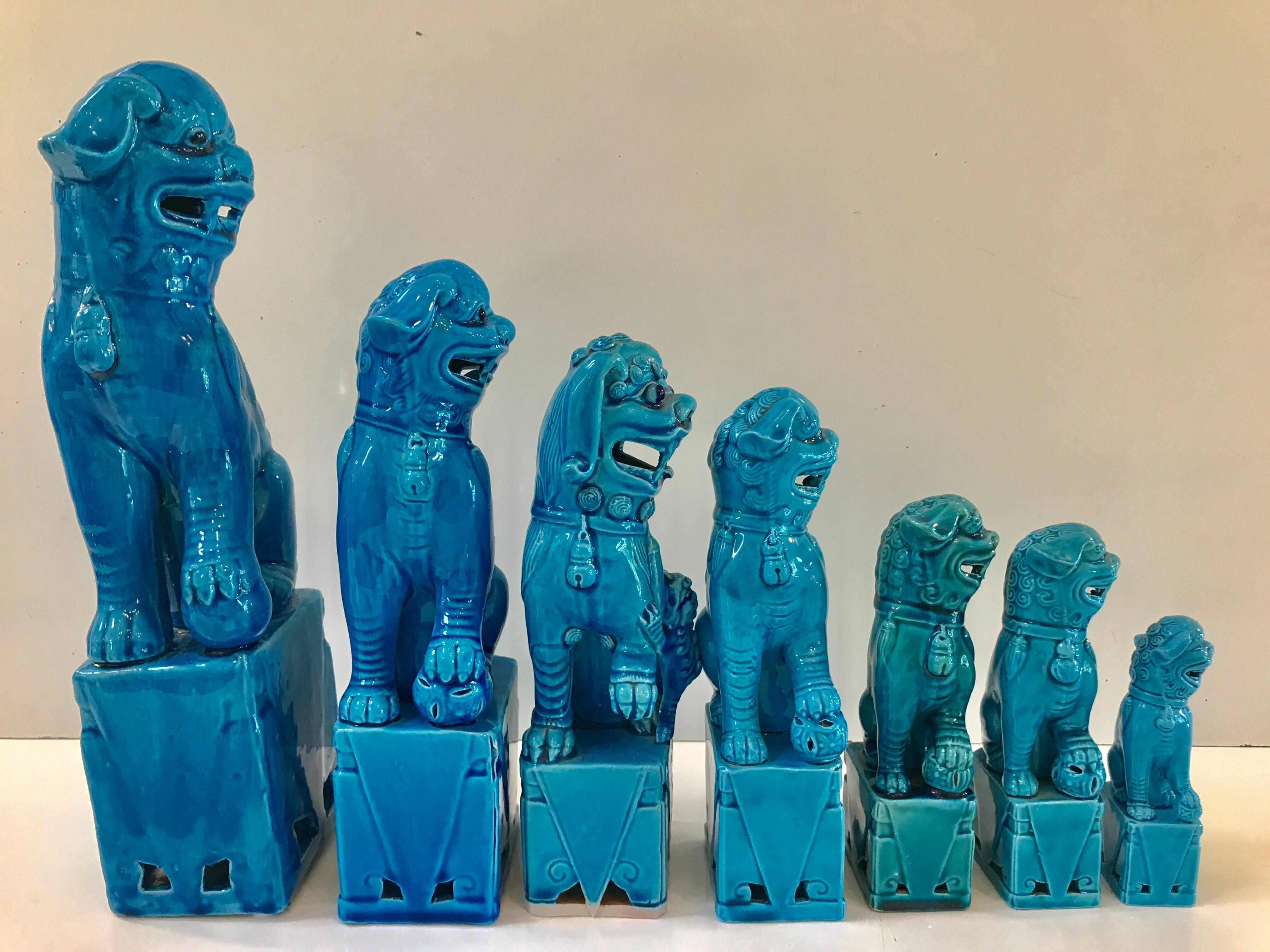 Collection of 14 Graduating Turquoise Chinese Export Foo Dogs 3