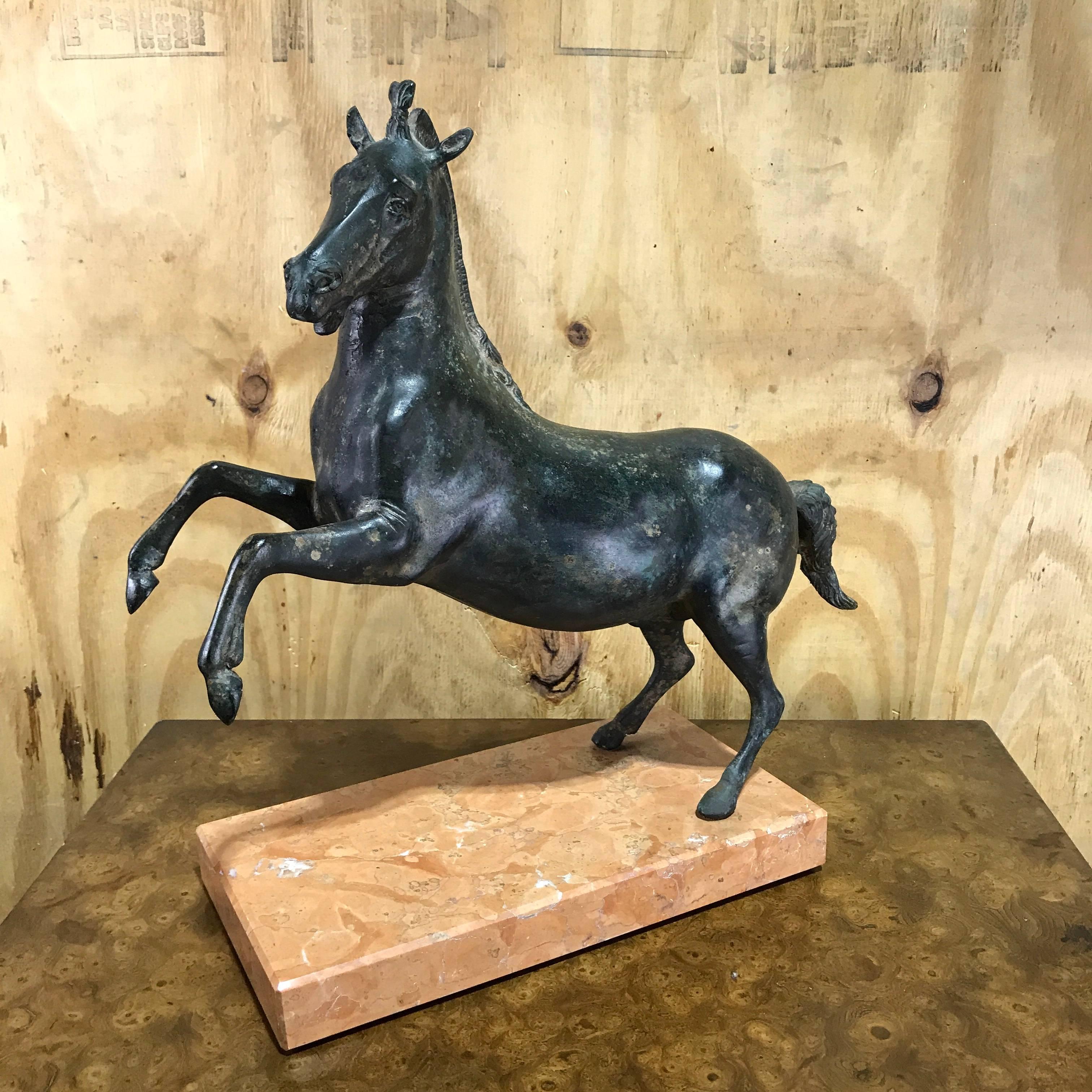 Grand Tour Bronze Sculpture of a Rearing Horse For Sale 2