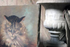 Óleo sobre lienzo Retrato de un gato Maine Coon Tabby Fechado en 1916 procedente de Rokeby Park
