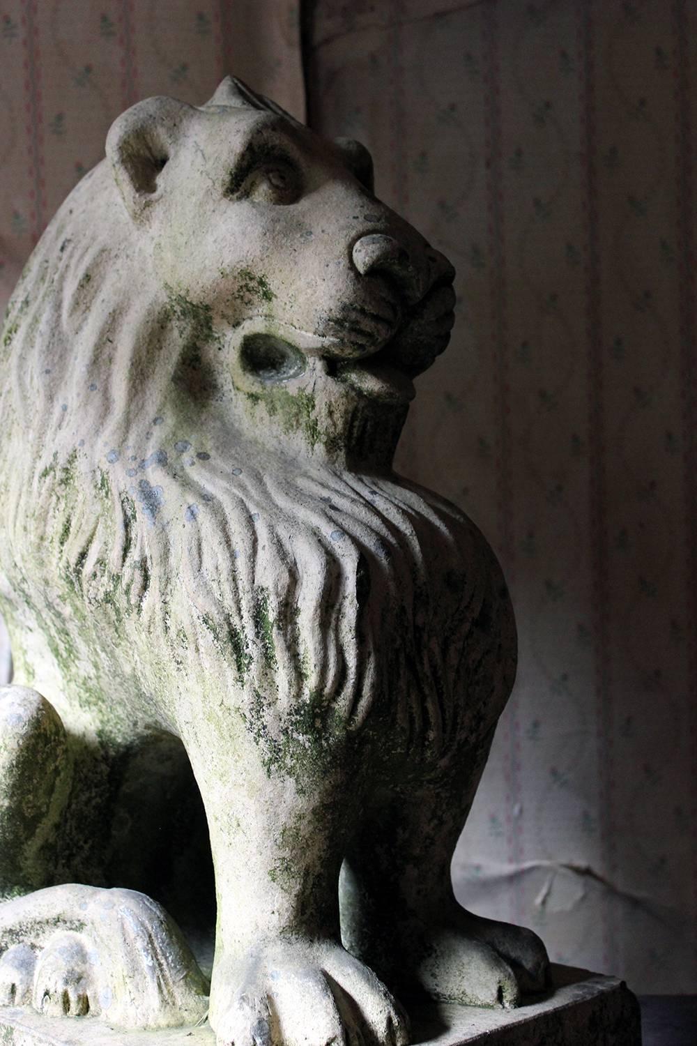 In original condition, the well patinated, seated or assis, terracotta lion beautifully modelled and rather highly stylized, having squat proportions, gazing forward with a vigilant expression under a richly carved mane and well articulated paws