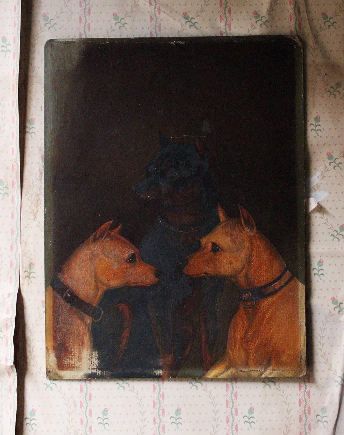 English School Oil on Board Study of Two White and One Manchester Terrier 1
