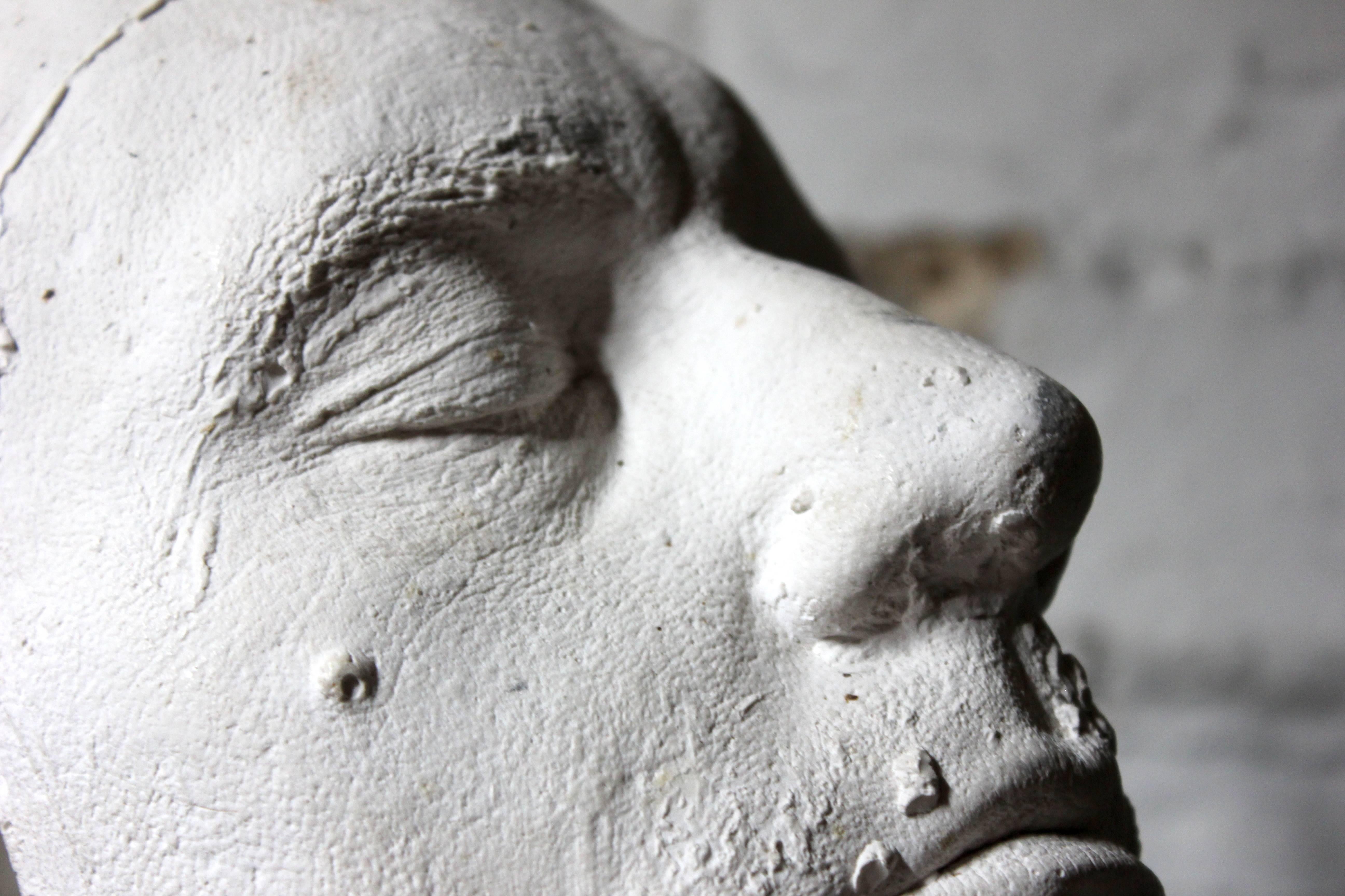 Good 20th Century Plaster Death Mask of a Bearded Gentleman In Good Condition In Bedford, Bedfordshire