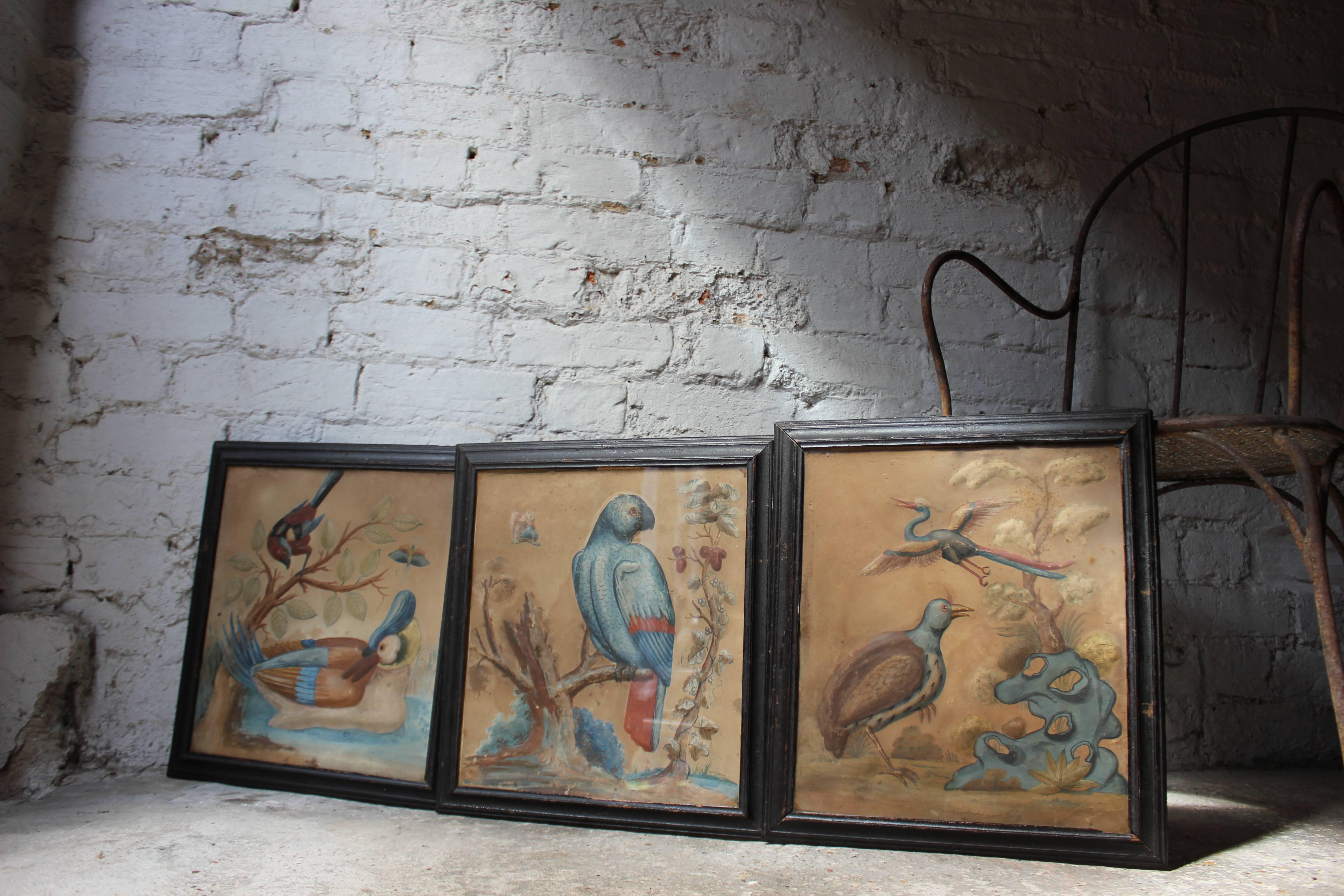 Circle of Samuel Dixon; 18th Century Trio of Ornithological Watercolour Studie In Good Condition In Bedford, Bedfordshire