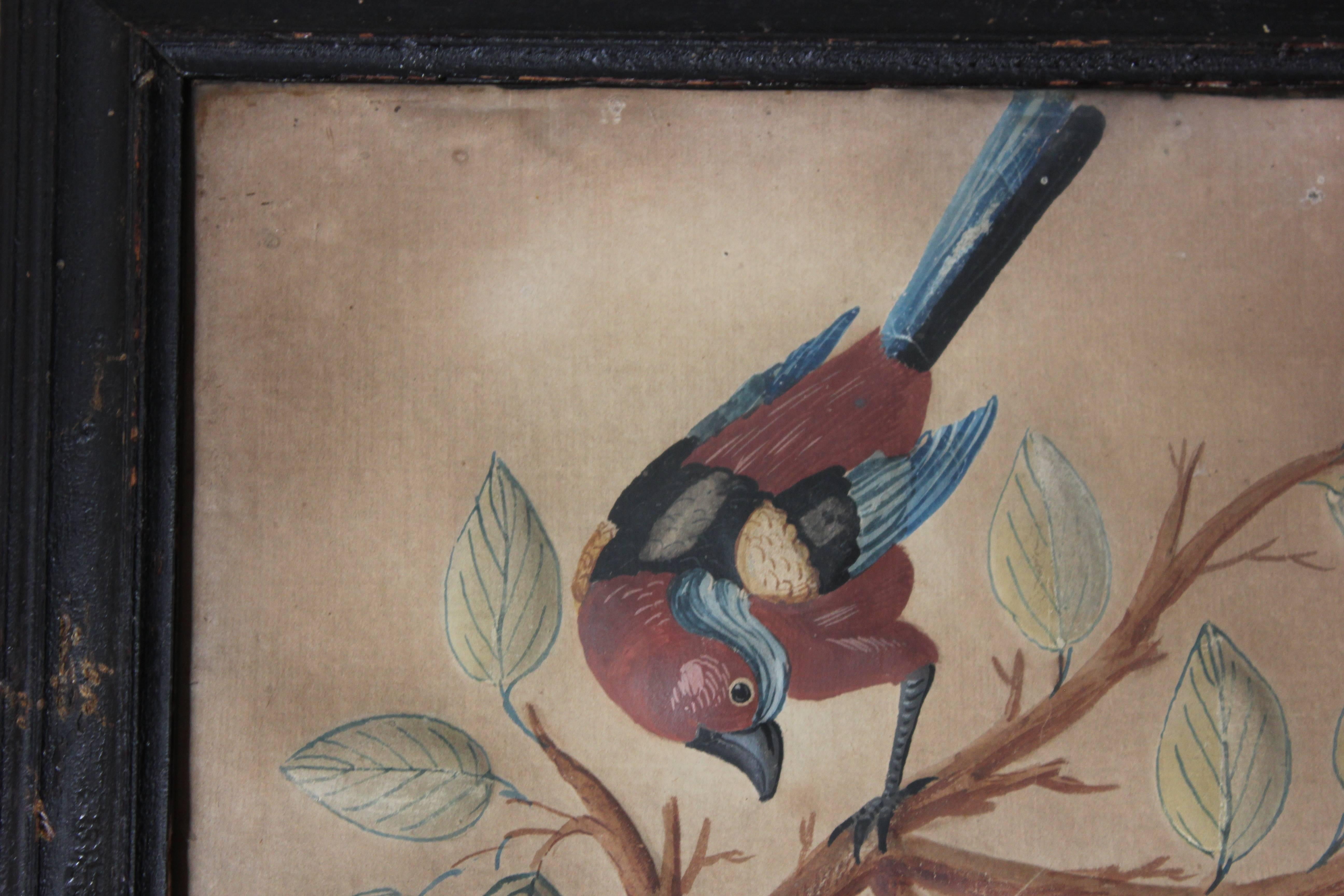 Circle of Samuel Dixon; 18th Century Trio of Ornithological Watercolour Studie 1