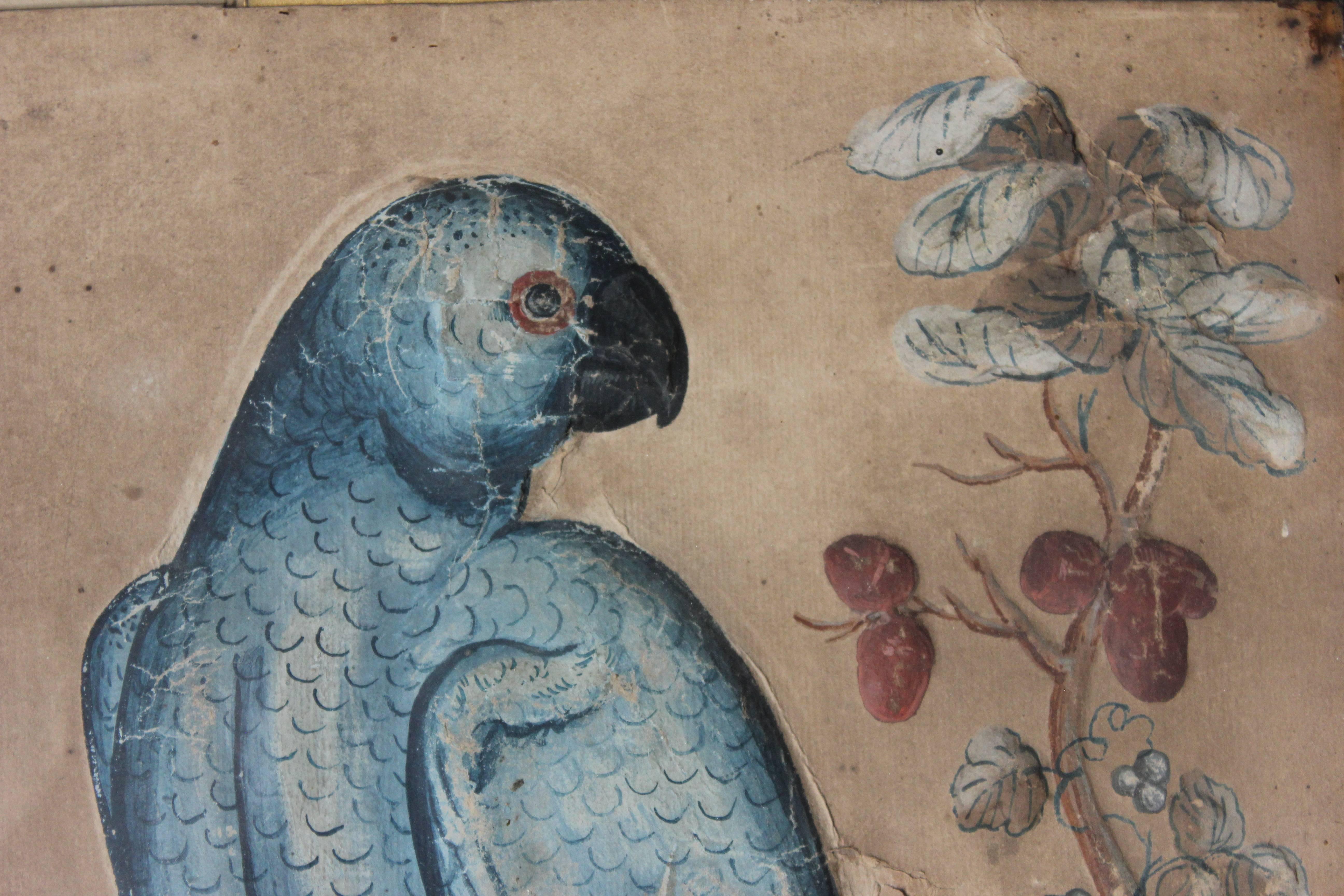 Circle of Samuel Dixon; 18th Century Trio of Ornithological Watercolour Studie 3