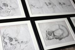Group of Seven Framed Engravings of Skulls from the Natural History of Man