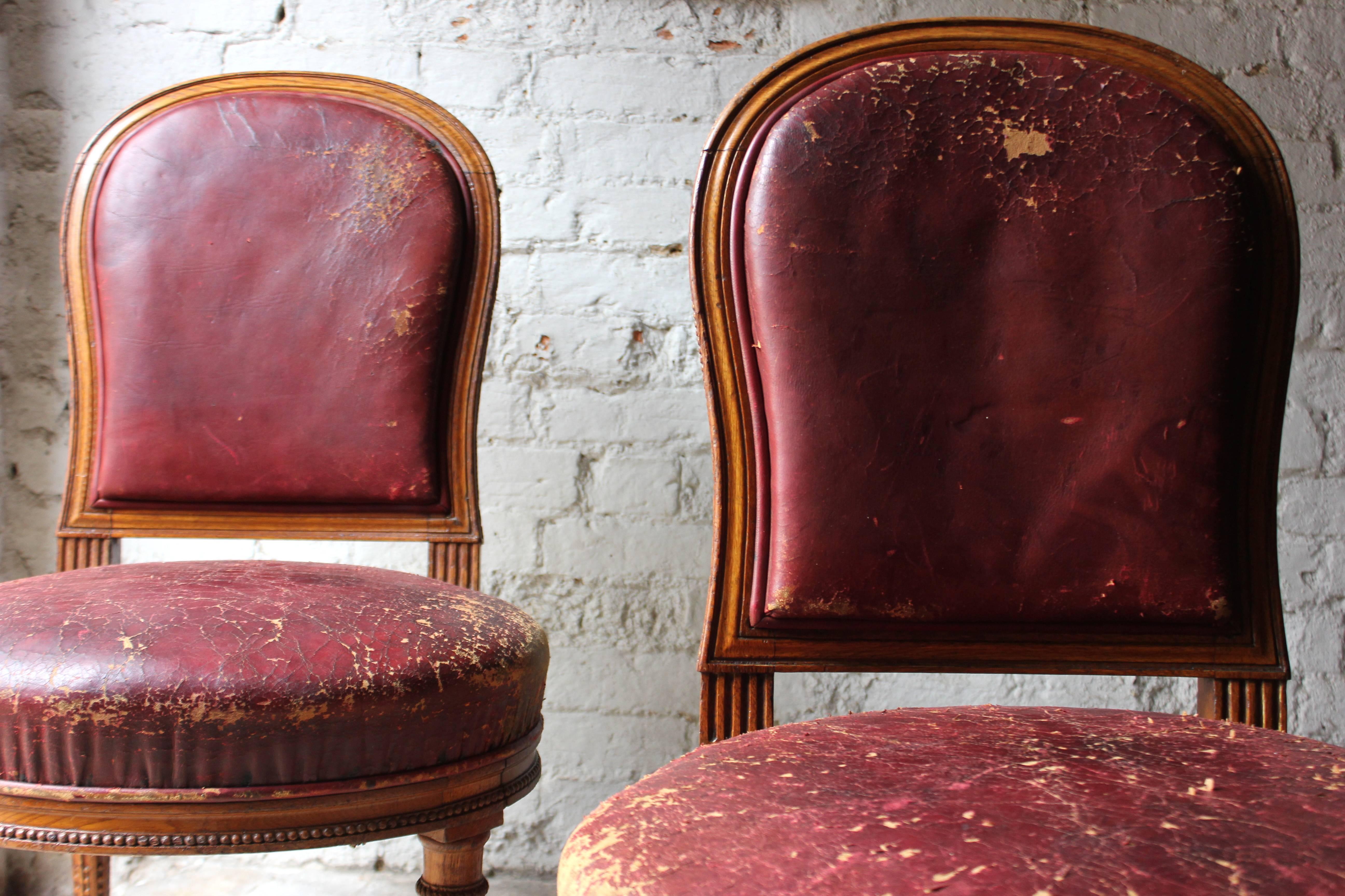 Pair of Early Victorian Golden Oak and Leather Upholstered Chairs, circa 1840 In Good Condition In Bedford, Bedfordshire