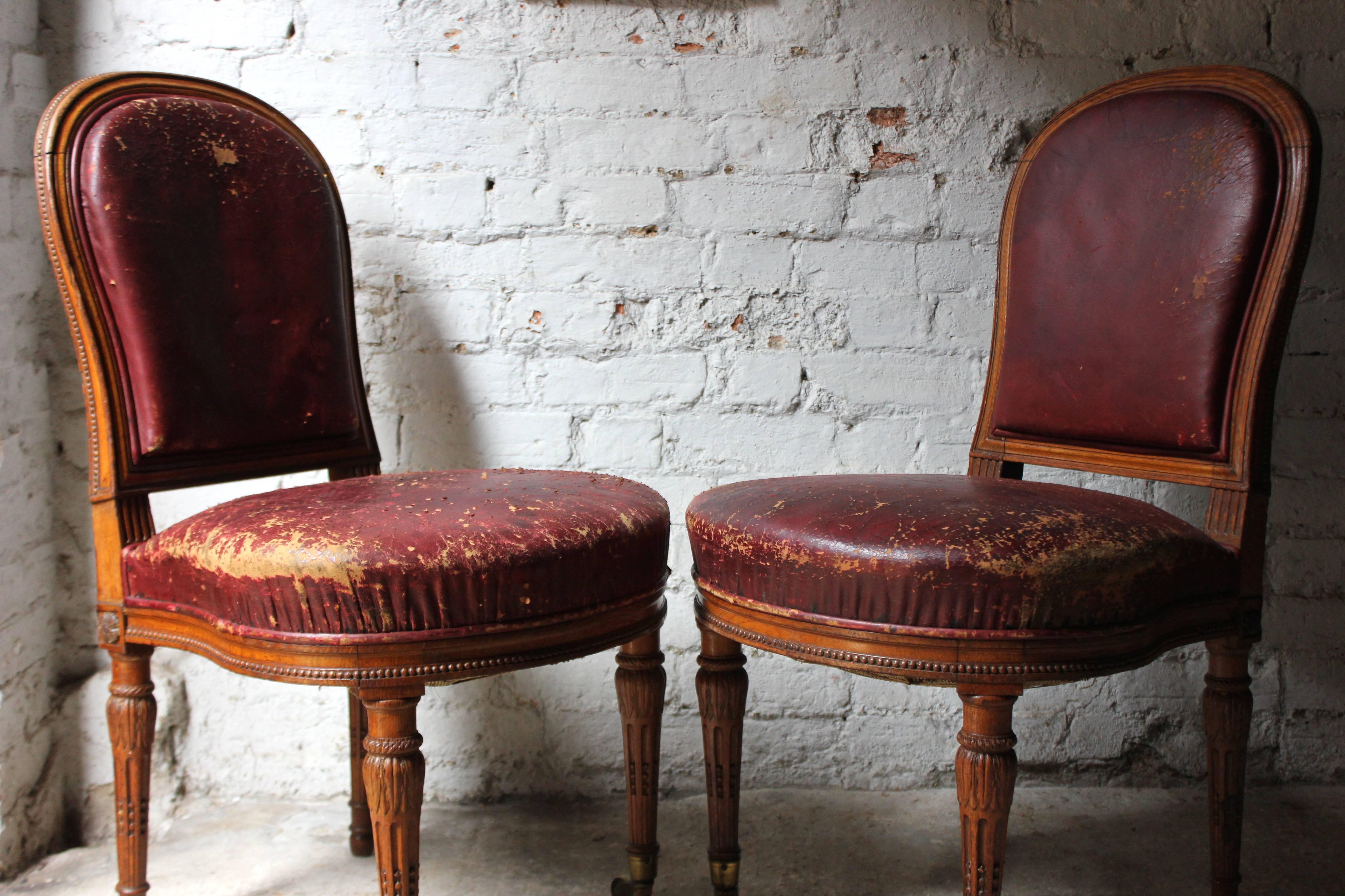 Mid-19th Century Pair of Early Victorian Golden Oak and Leather Upholstered Chairs, circa 1840