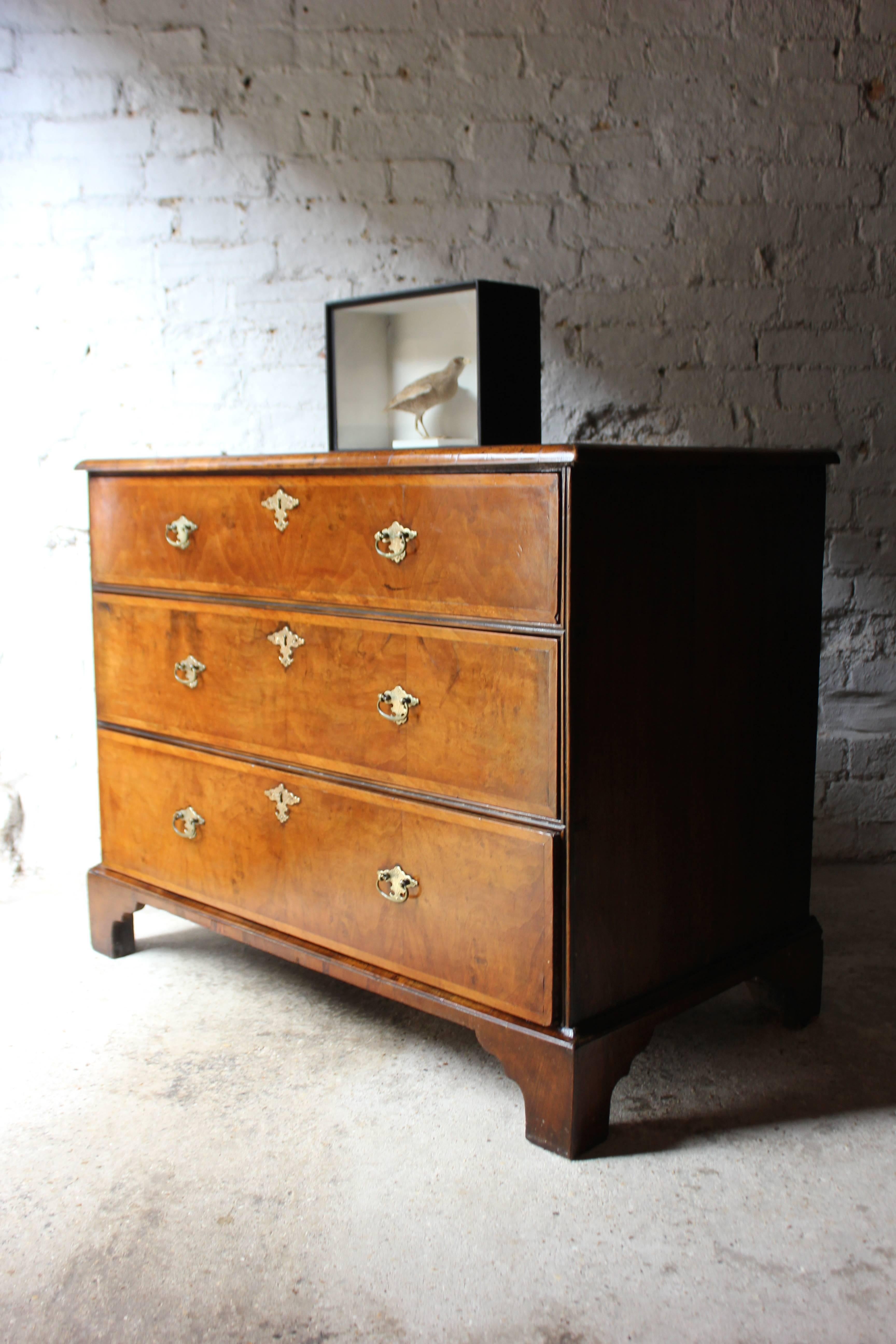 The fine quality early 18th century chest in walnut with oak linings and sides, of superior colour, having three feather banded graduated drawers, under a quarter veneered moulded top, the drawers bearing period brass chased handles and escutcheons,