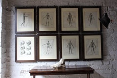 Group of Eight Framed Early 19th Century Anatomical Plate, circa 1802-1808