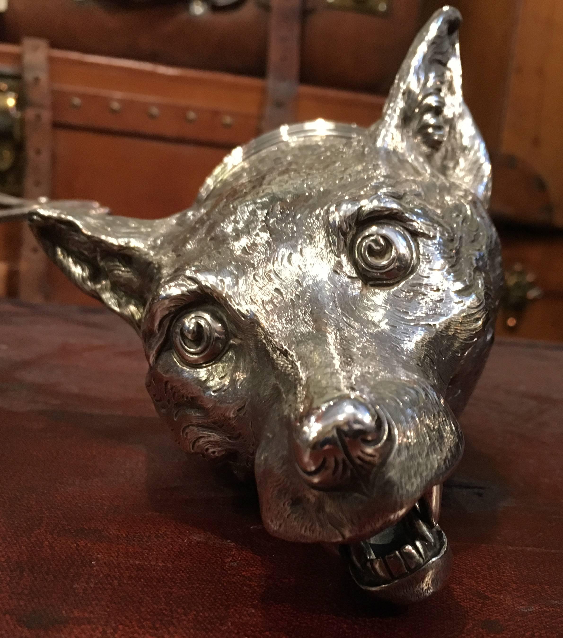 An extremely large sterling silver fox stirrup cup. Dated for London 1901 and retailed by Oultner and Houle of St James.

The stirrup cup stands a very impressive 7 inches high and the opening has a 4 inch diameter.

The interior lip bears and