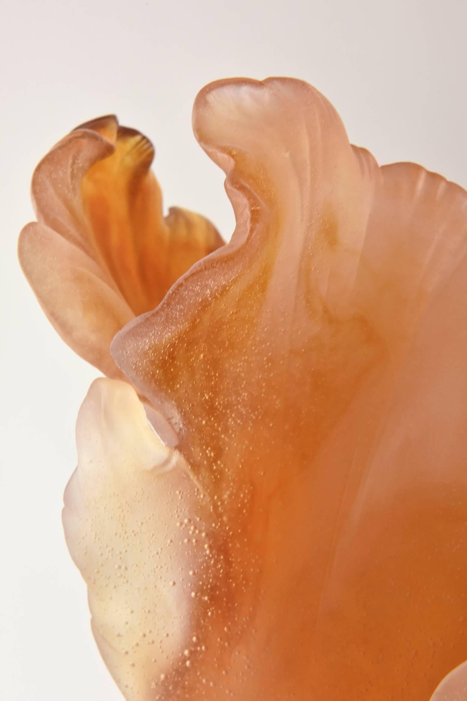 French Large Daum Amber Tulip Vase with Original Box 