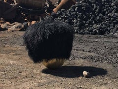 Black Toad Swinging Pouf