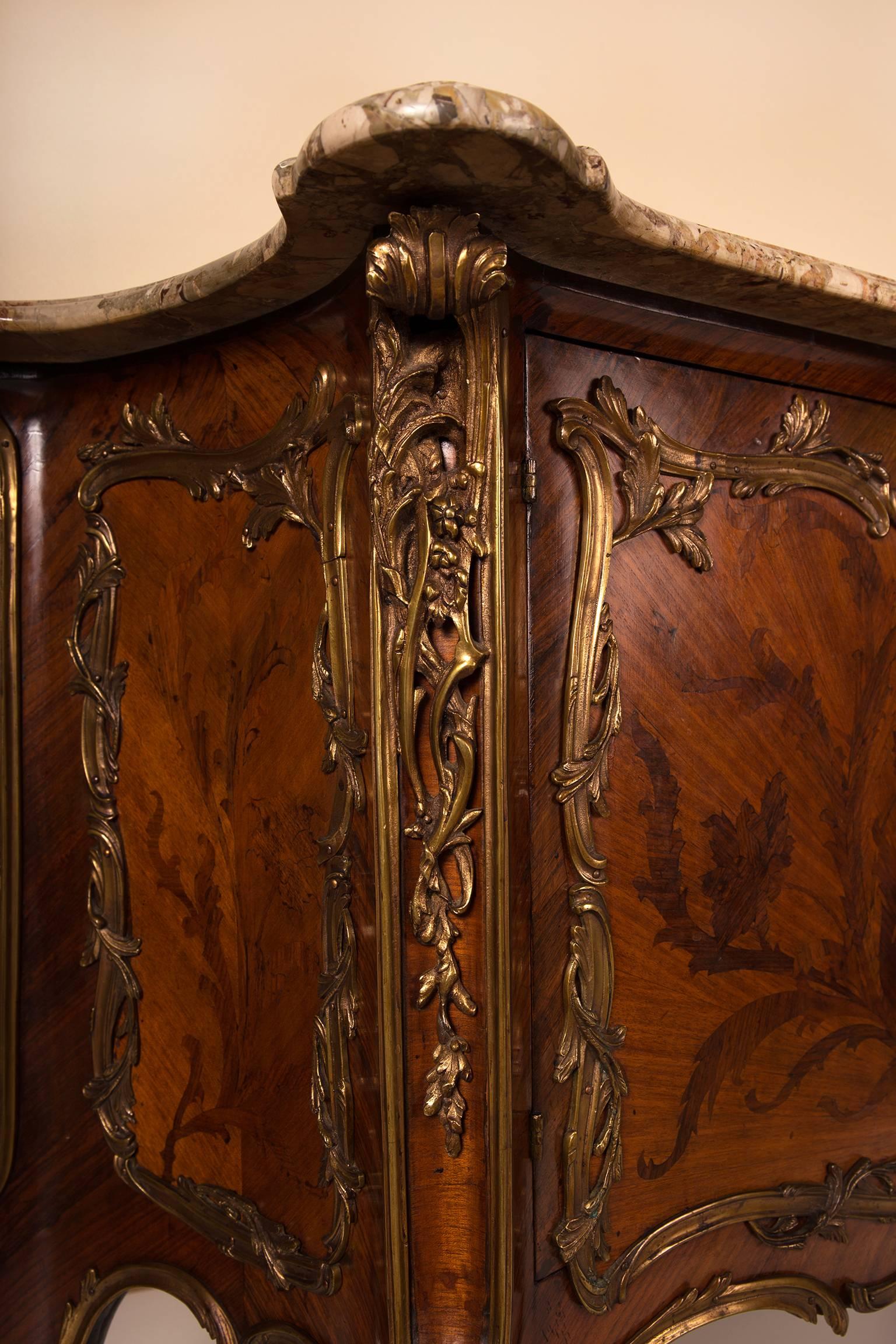 French Two-Door Cabinet in Tulipwood, Rosewood Marquetry and Bronze Ornaments In Good Condition For Sale In Dilsen-Stokkem, BE