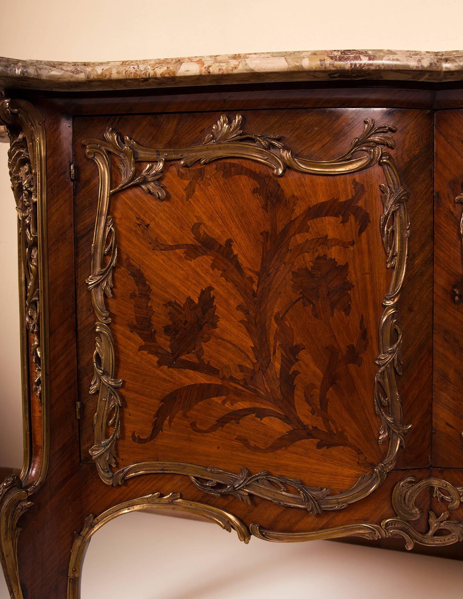 Cast French Two-Door Cabinet in Tulipwood, Rosewood Marquetry and Bronze Ornaments For Sale