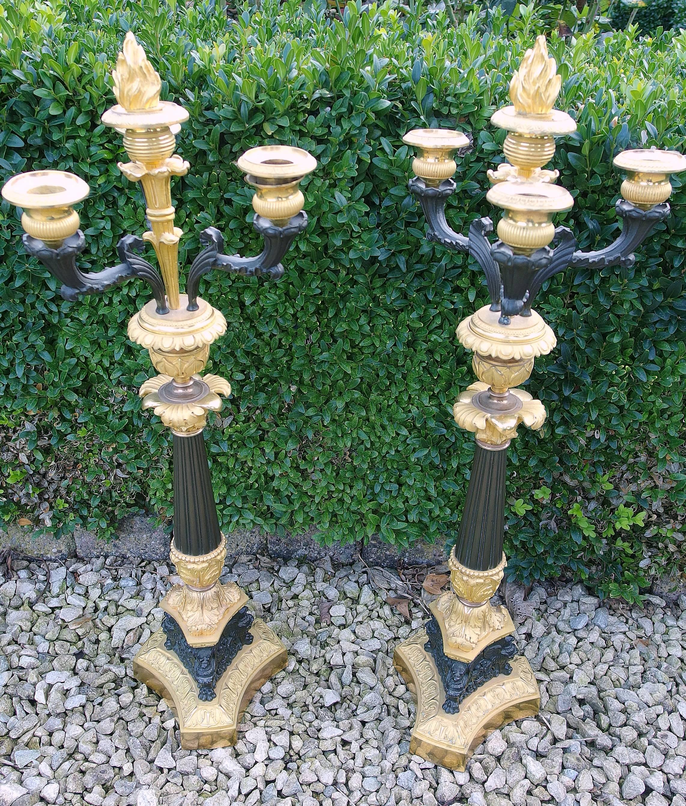 Pair of Ormolu and Patinated Bronze Candelabra, Louis Philippe France circa 1830 For Sale 1