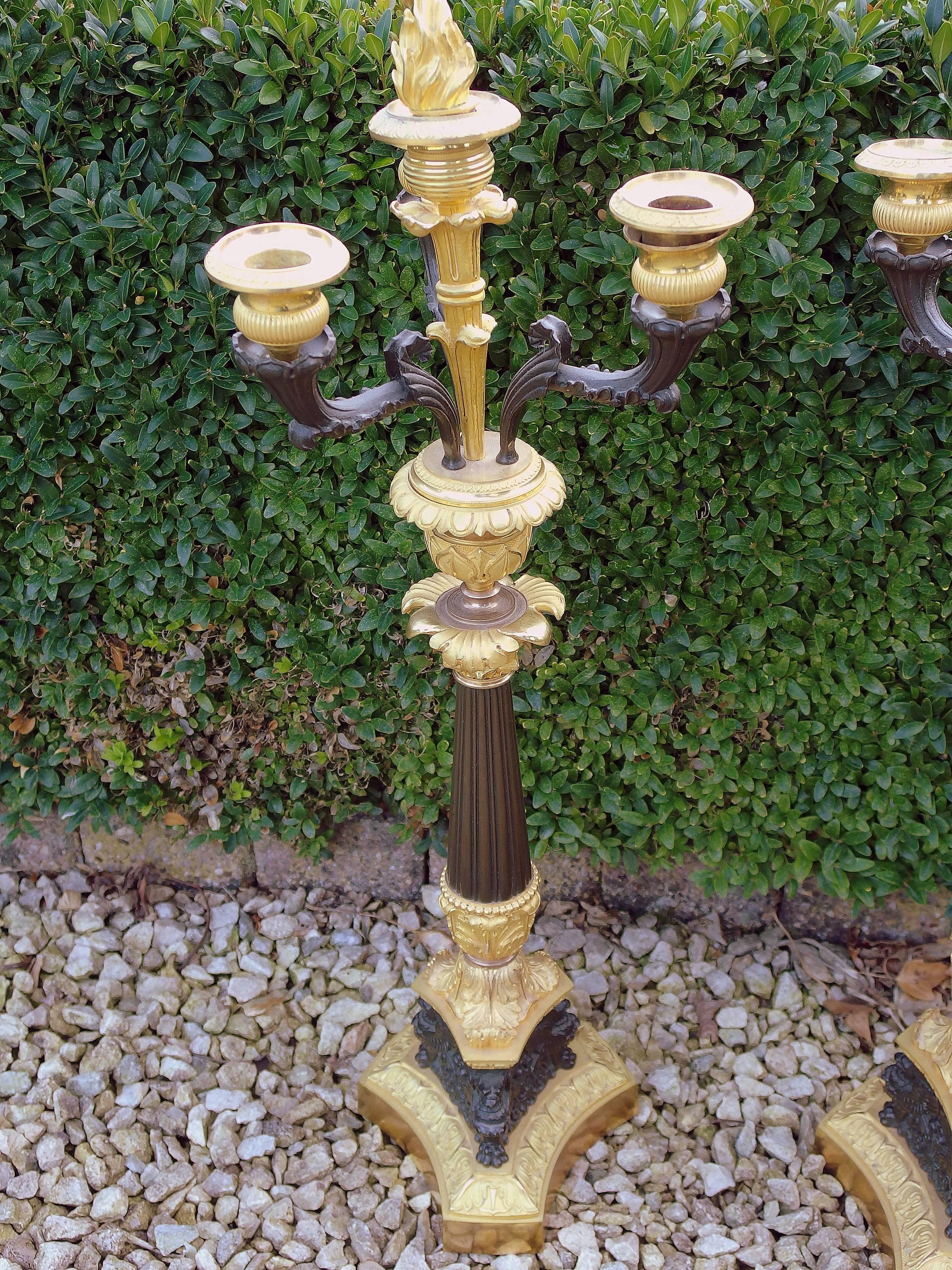 Pair of Ormolu and Patinated Bronze Candelabra, Louis Philippe France circa 1830 For Sale 2